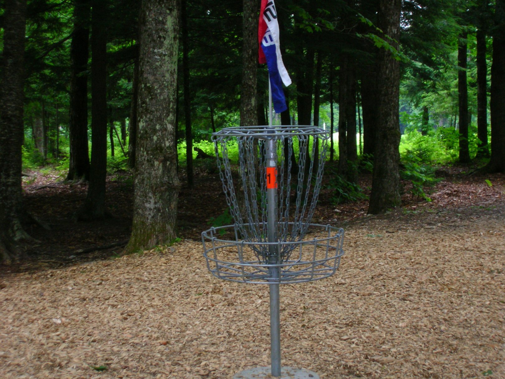 Hole 1 • Hawk / Sabattus DGC (Sabattus, ME) Disc Golf Courses Disc