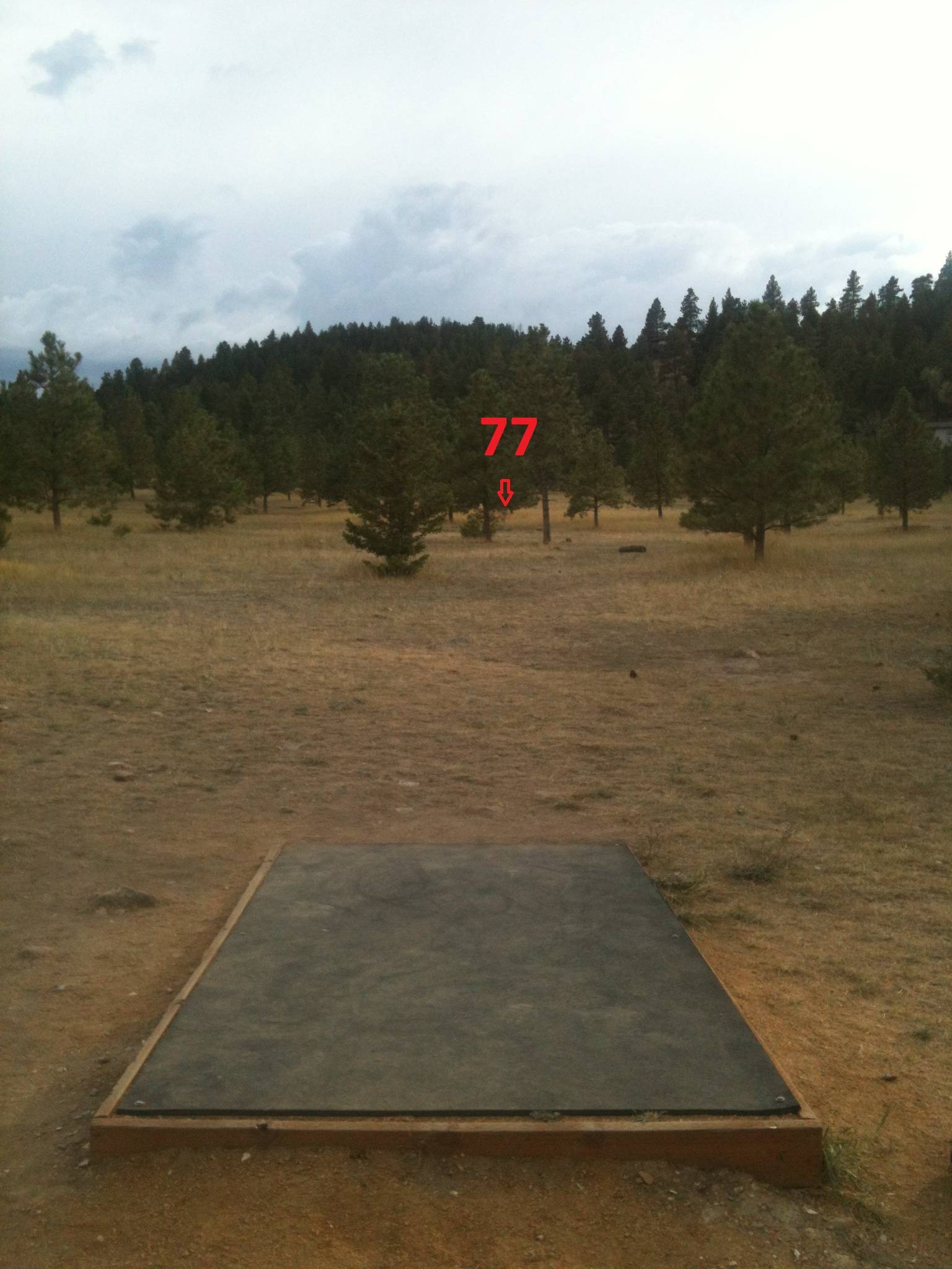 Hole 4 • South Hills (Helena, MT) Disc Golf Courses Disc Golf Scene