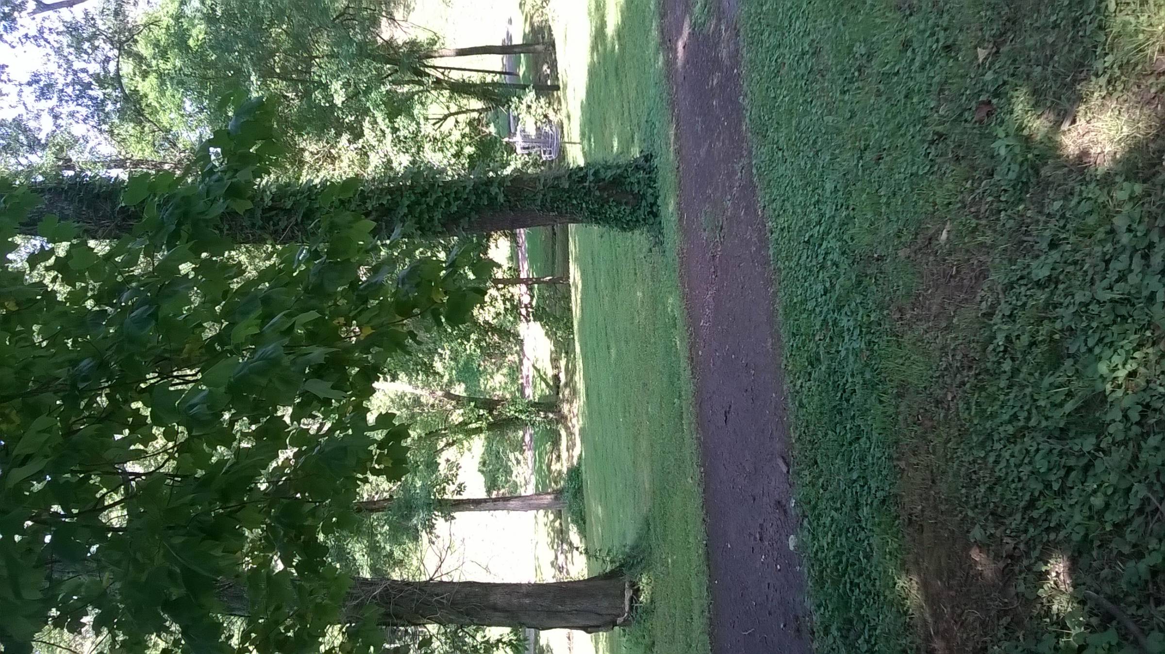 Hole 18 • Rocky Hollow Park (Somerset, KY) Disc Golf Courses Disc