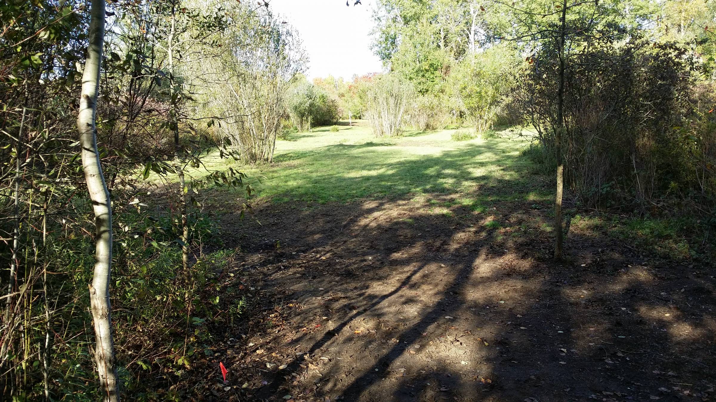 Hole 9 • LakeShore Disc Golf Complex (Spring Lake, MI) Disc Golf