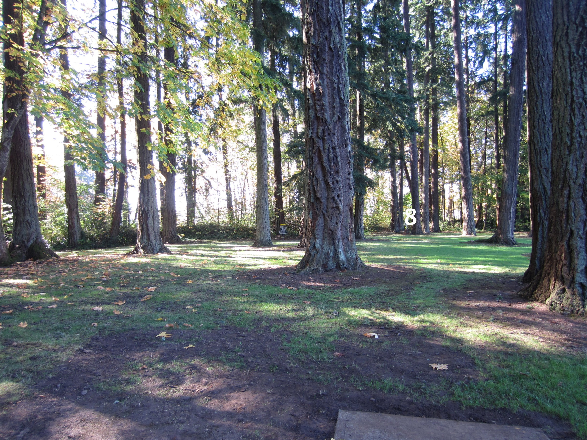 Hole 8 • Pioneer Park (Stayton, OR) Disc Golf Courses Disc Golf Scene