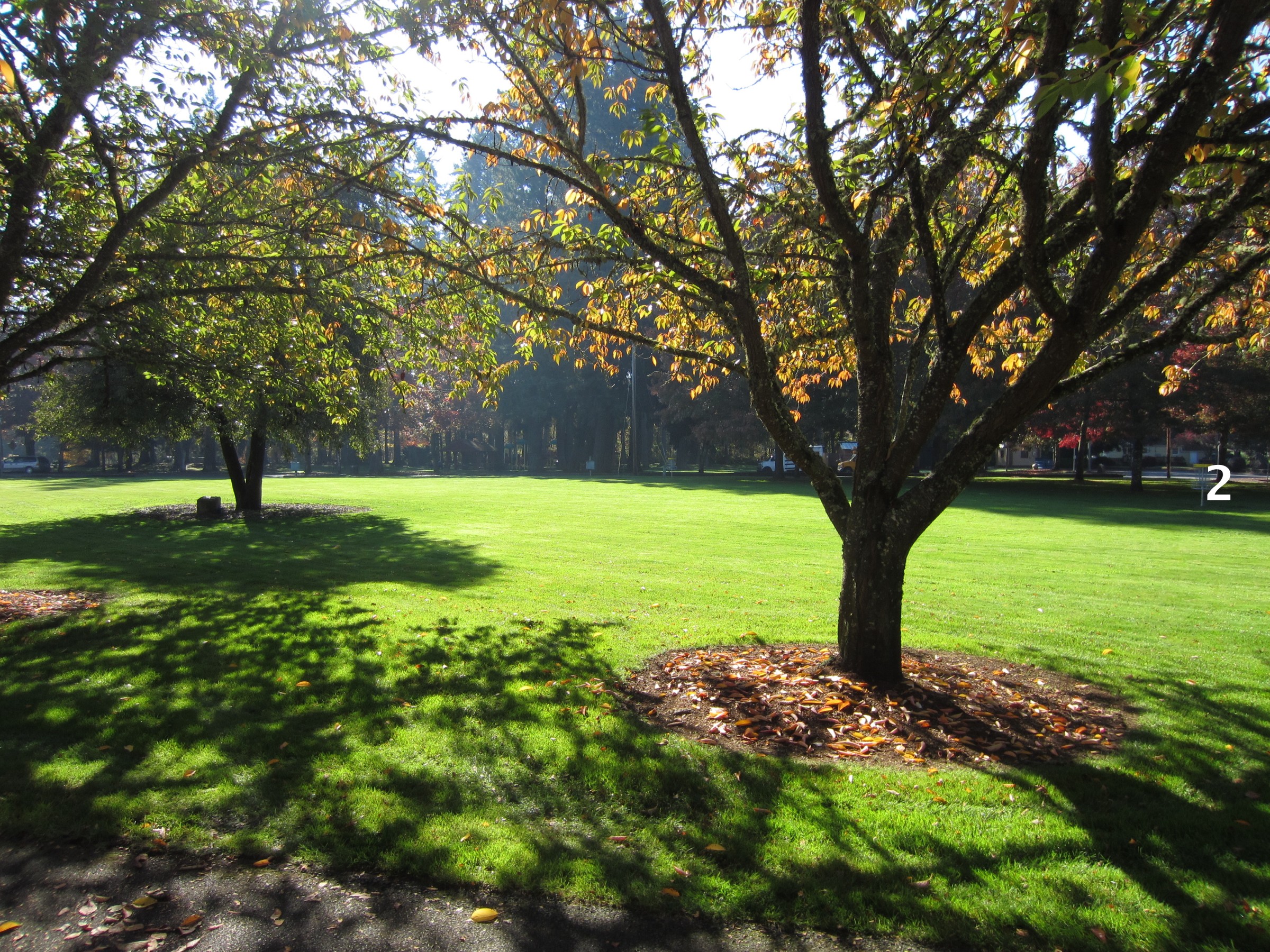 Hole 2 • Pioneer Park (Stayton, OR) Disc Golf Courses Disc Golf Scene