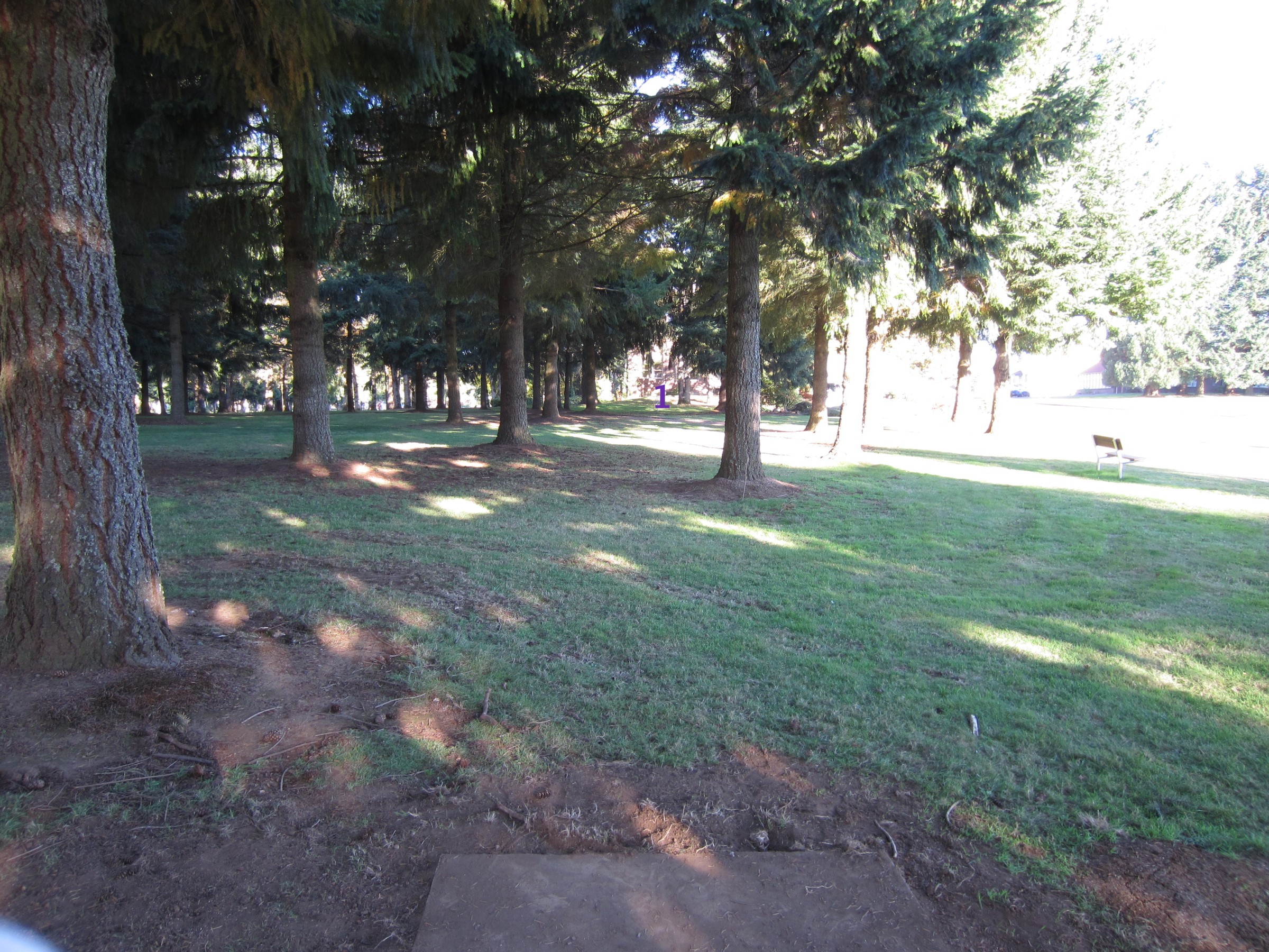 Hole 1 • Church Park (Sublimity, OR) Disc Golf Courses Disc Golf Scene