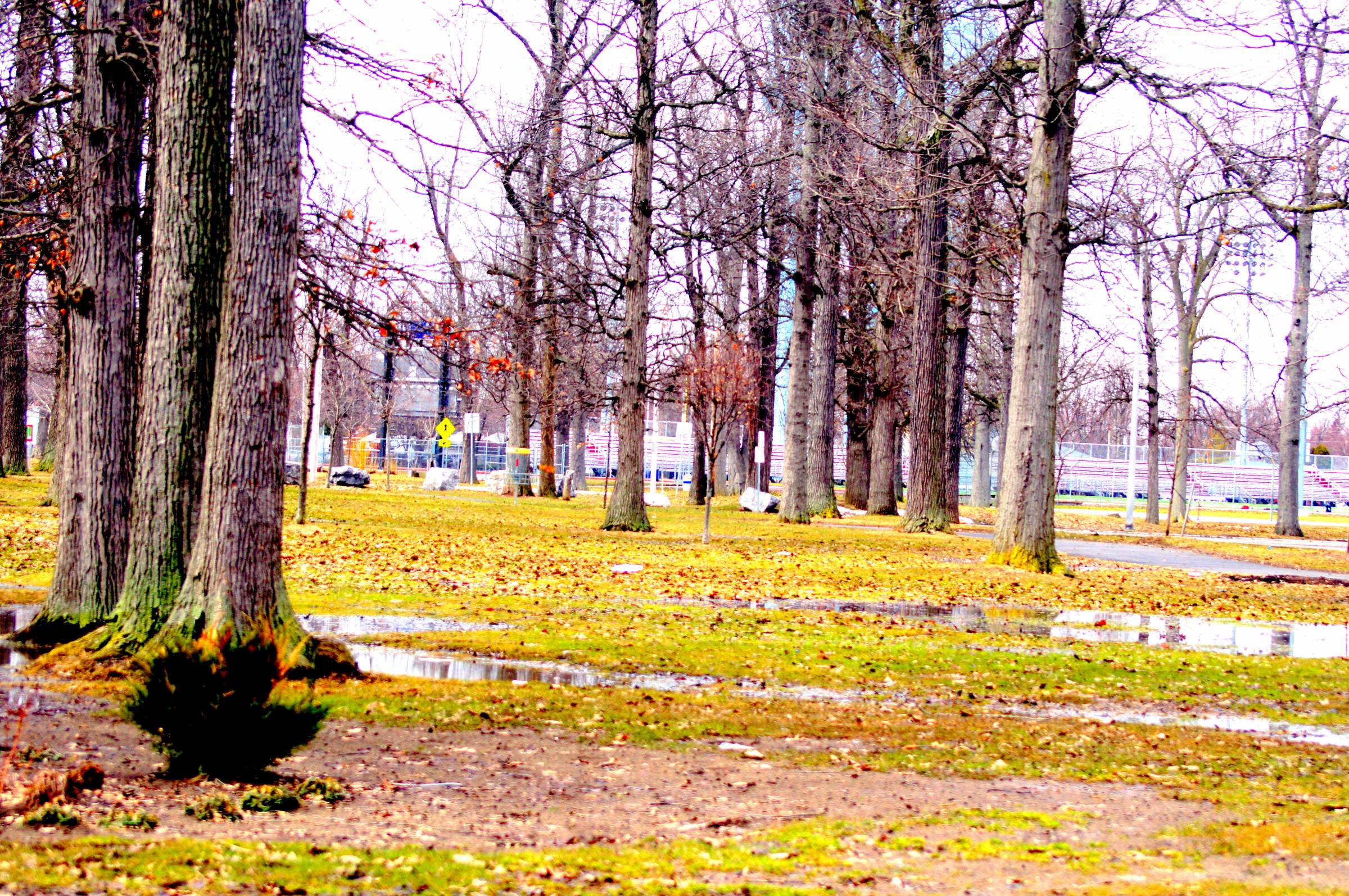 Hole 4 • Lincoln Park (Tonawanda, NY) Disc Golf Courses Disc Golf Scene