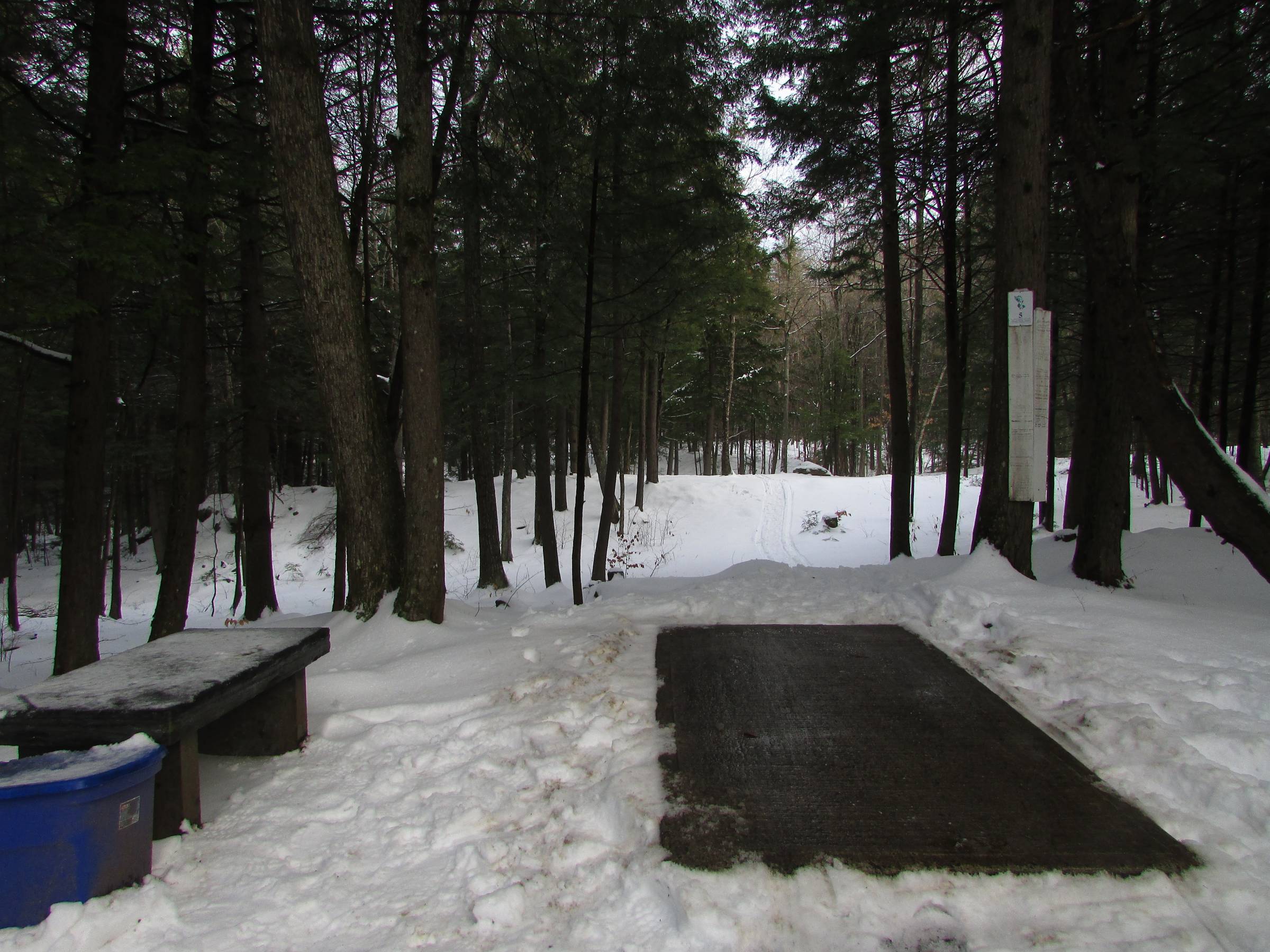 Hole 5 • Burnsboro (Vassalboro, ME) Disc Golf Courses Disc Golf Scene
