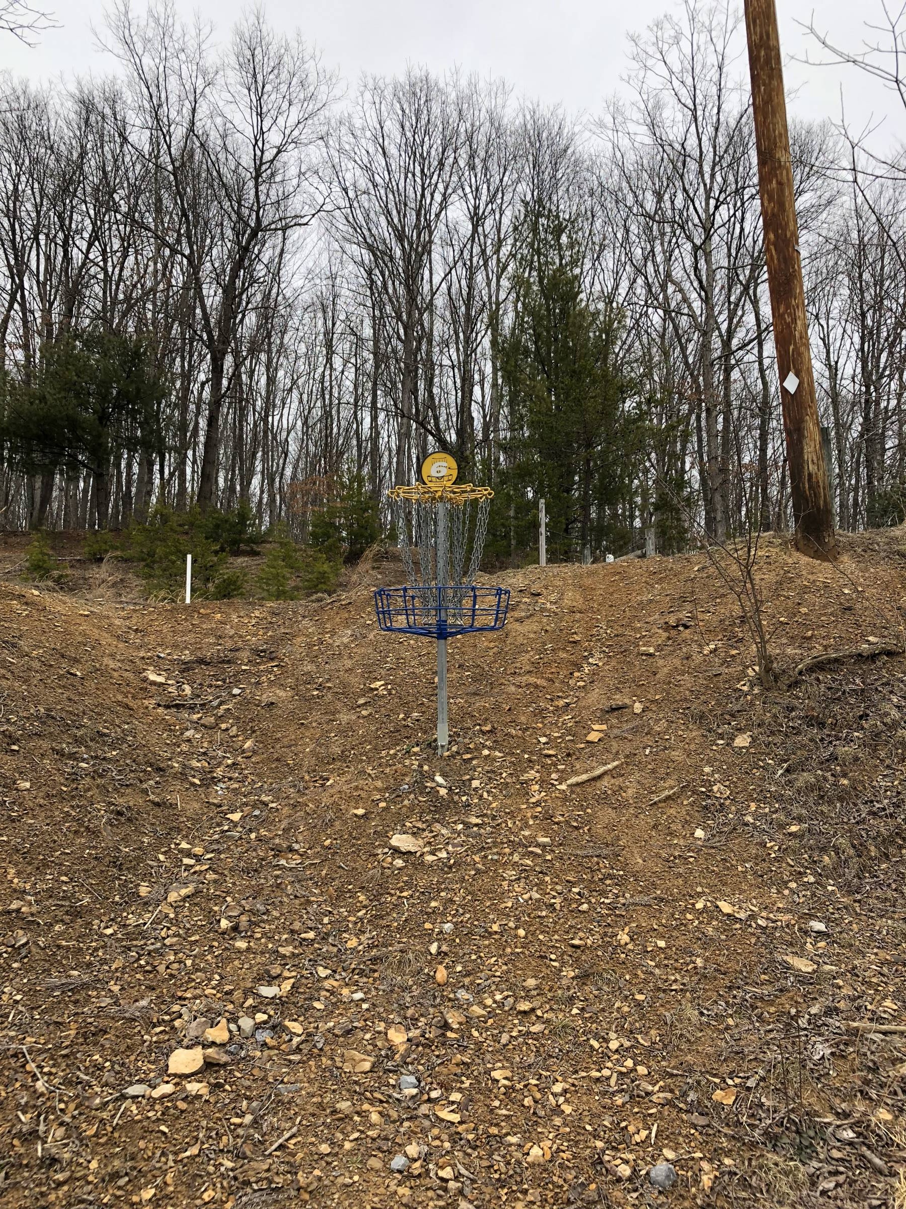 Hole 6 • ACE Adventure Resort (Minden, WV) Disc Golf Courses Disc