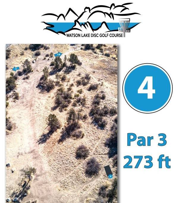 Hole 4 • Watson Lake Park (Prescott, AZ) Disc Golf Courses Disc