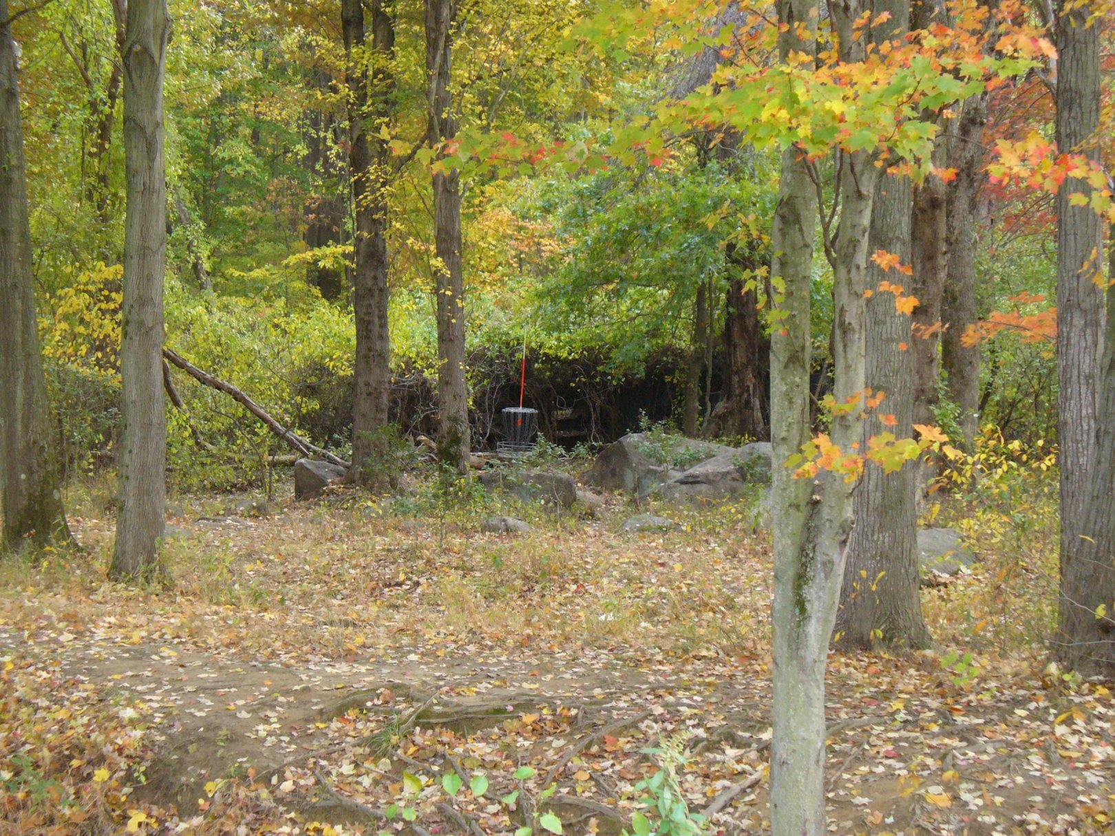 Hole 15 • Rockburn Branch (Elkridge, MD) Disc Golf Courses Disc Golf Scene