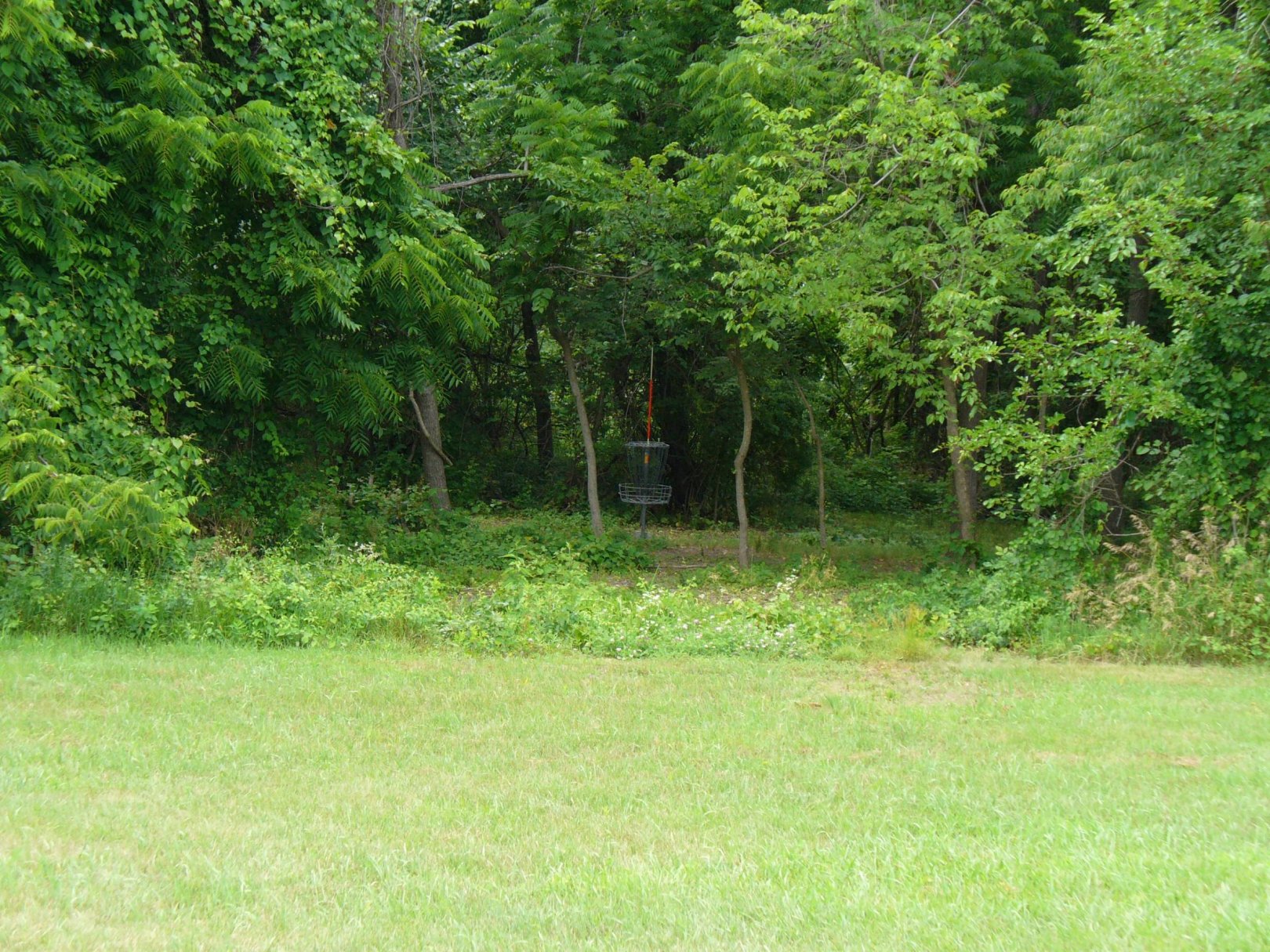 Hole 4 • Rockburn Branch (Elkridge, MD) Disc Golf Courses Disc Golf Scene