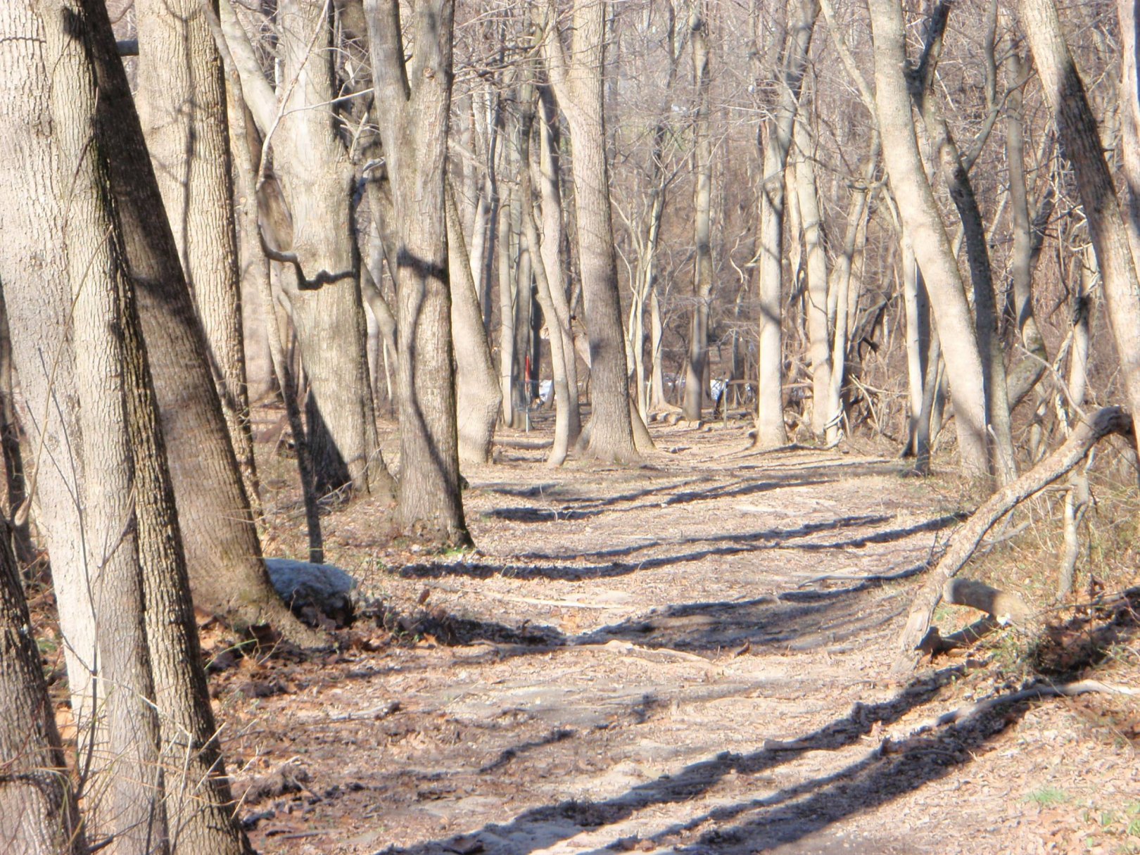 Hole 7 • Rockburn Branch (Elkridge, MD) Disc Golf Courses Disc Golf Scene