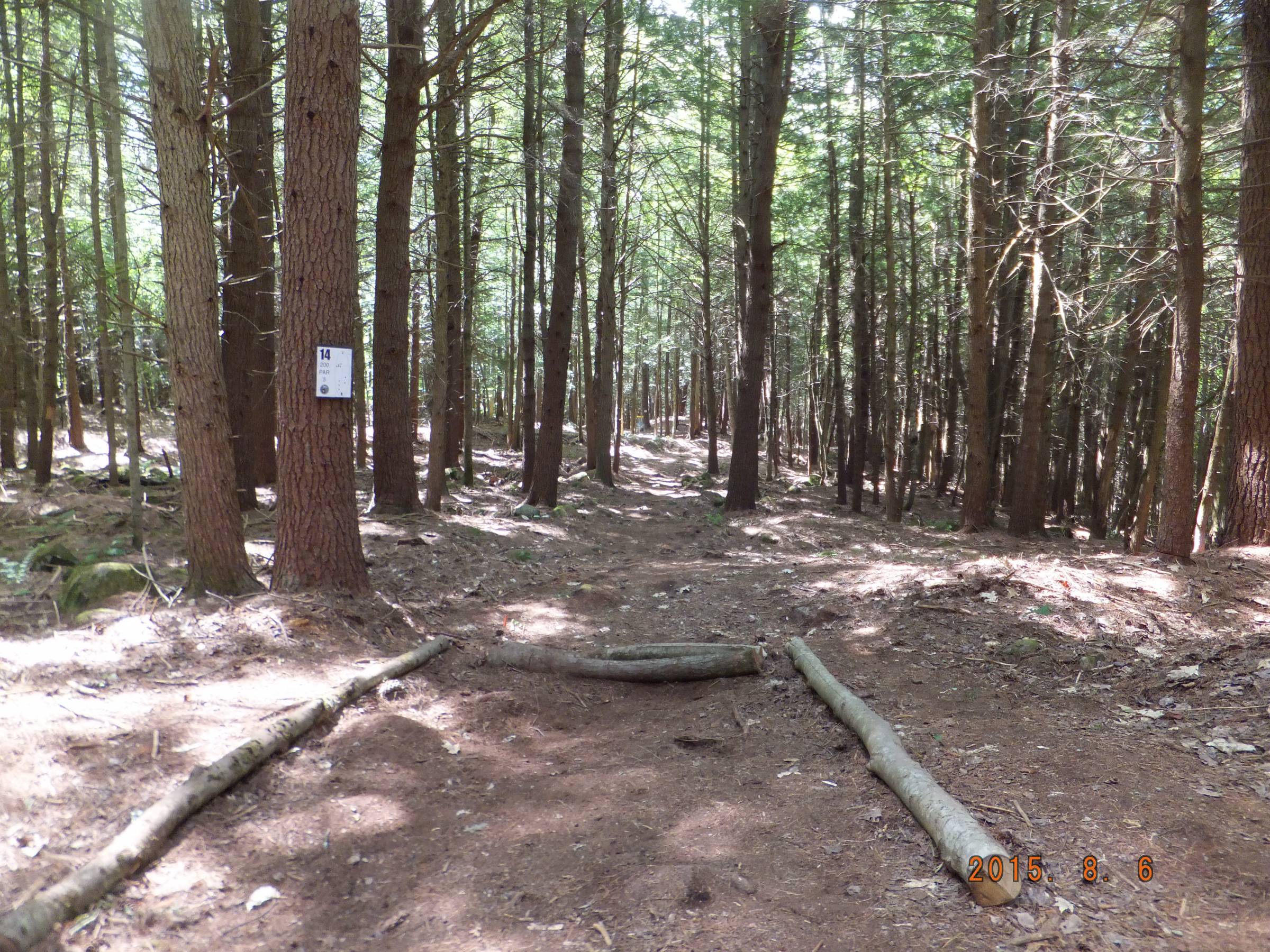 Hole 14 • Otter Brook DGC (Keene, NH) Disc Golf Courses Disc Golf Scene