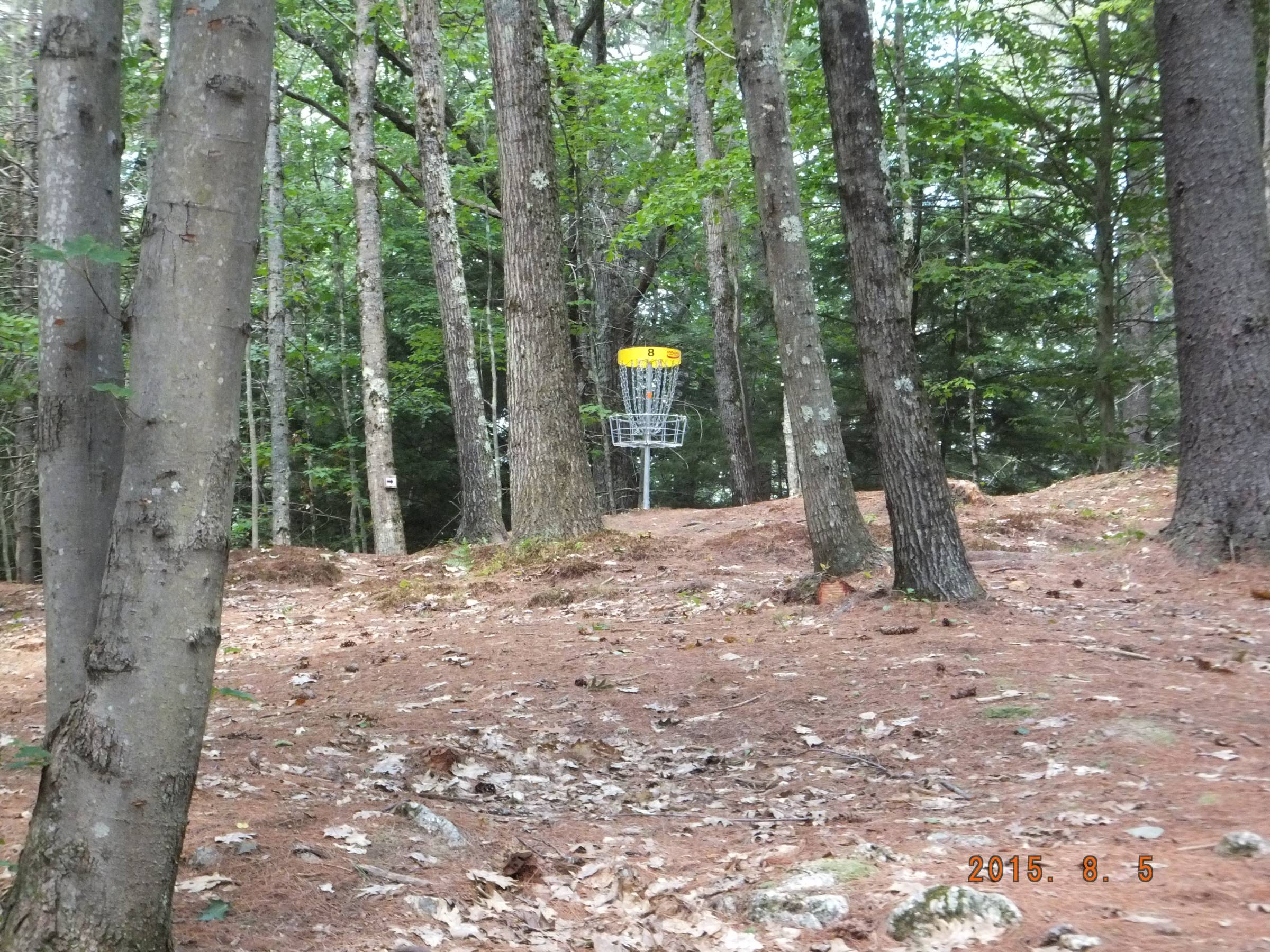 Hole 8 • Otter Brook DGC (Keene, NH) Disc Golf Courses Disc Golf Scene