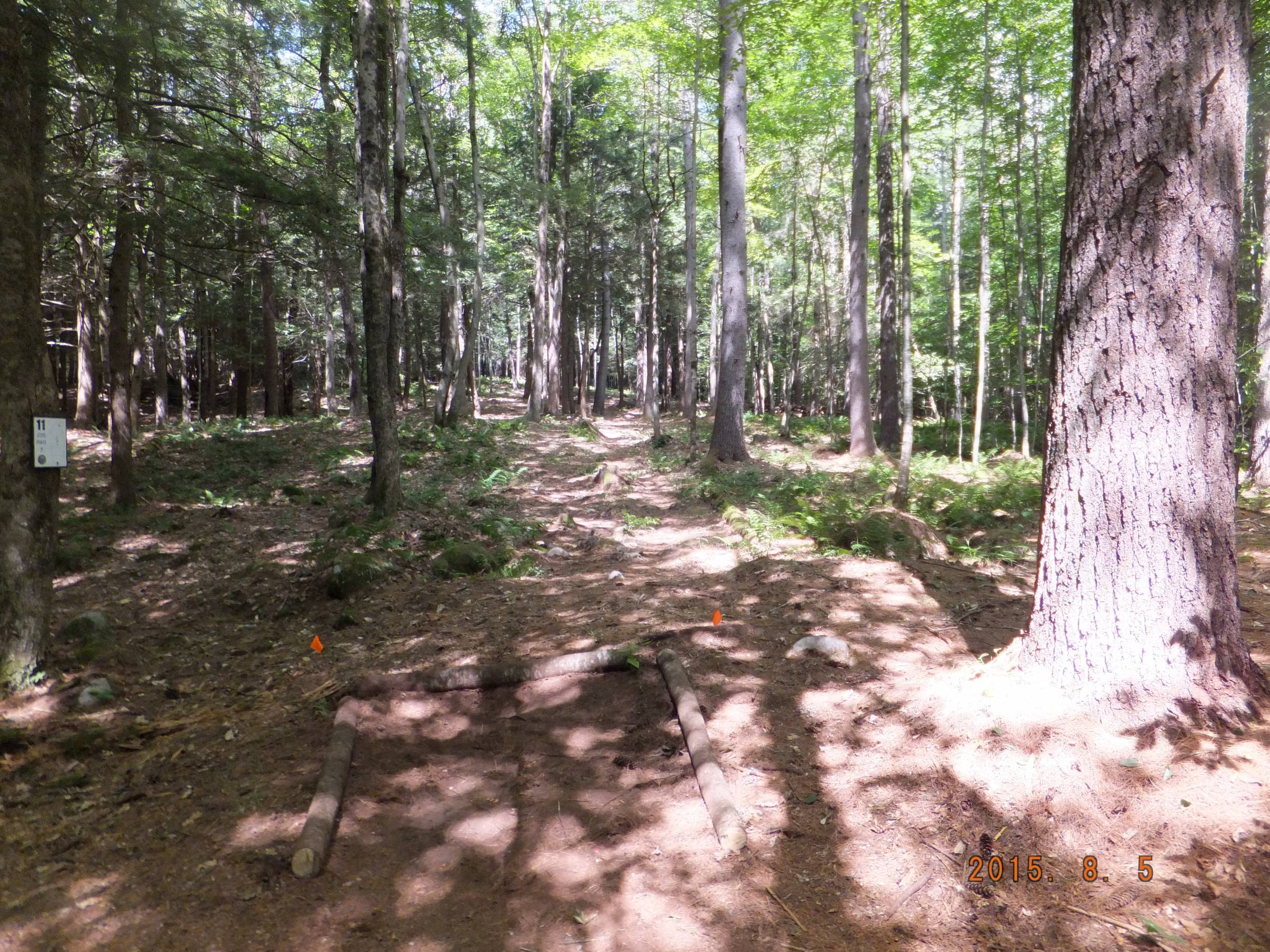 Hole 11 • Otter Brook DGC (Keene, NH) Disc Golf Courses Disc Golf Scene