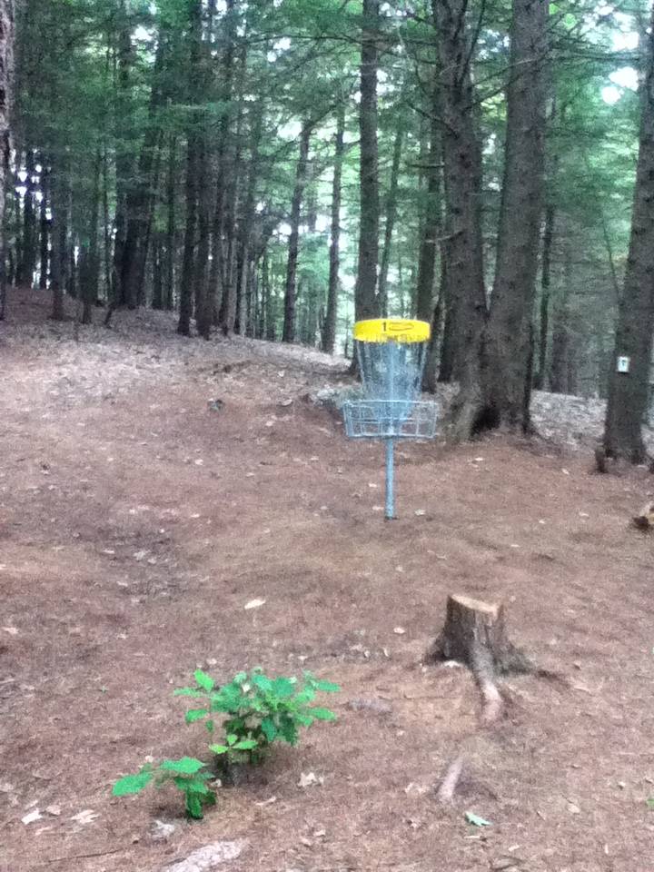 Hole 1 • Otter Brook DGC (Keene, NH) Disc Golf Courses Disc Golf Scene