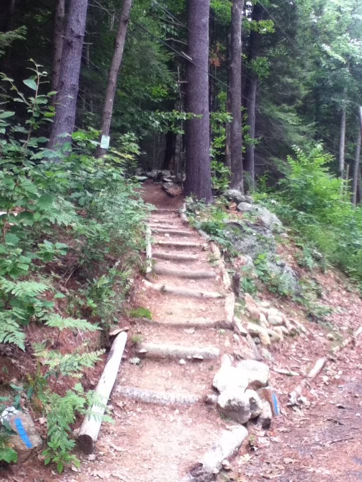 Hole 1 • Otter Brook DGC (Keene, NH) Disc Golf Courses Disc Golf Scene