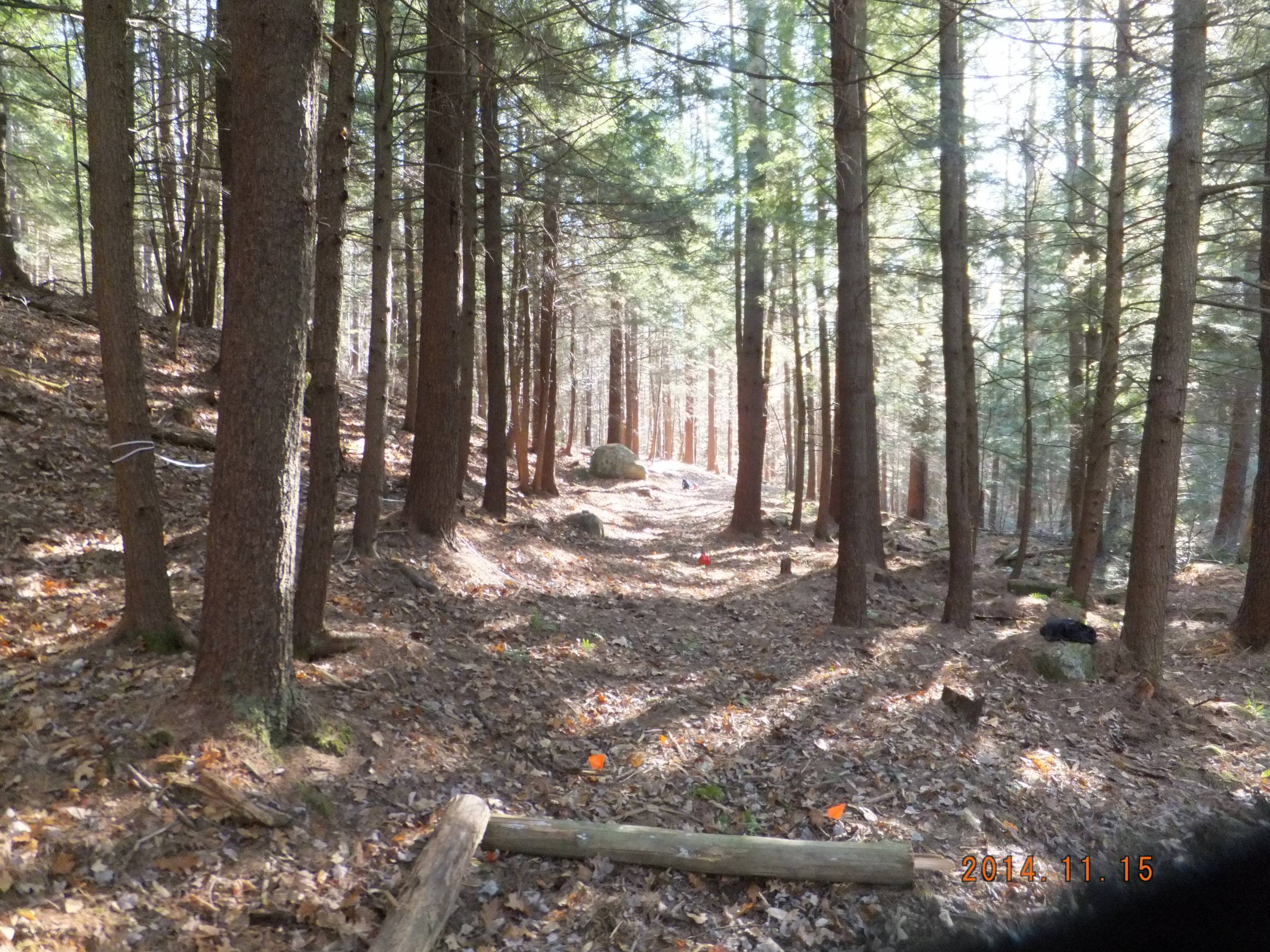 Hole 10 • Otter Brook DGC (Keene, NH) Disc Golf Courses Disc Golf Scene