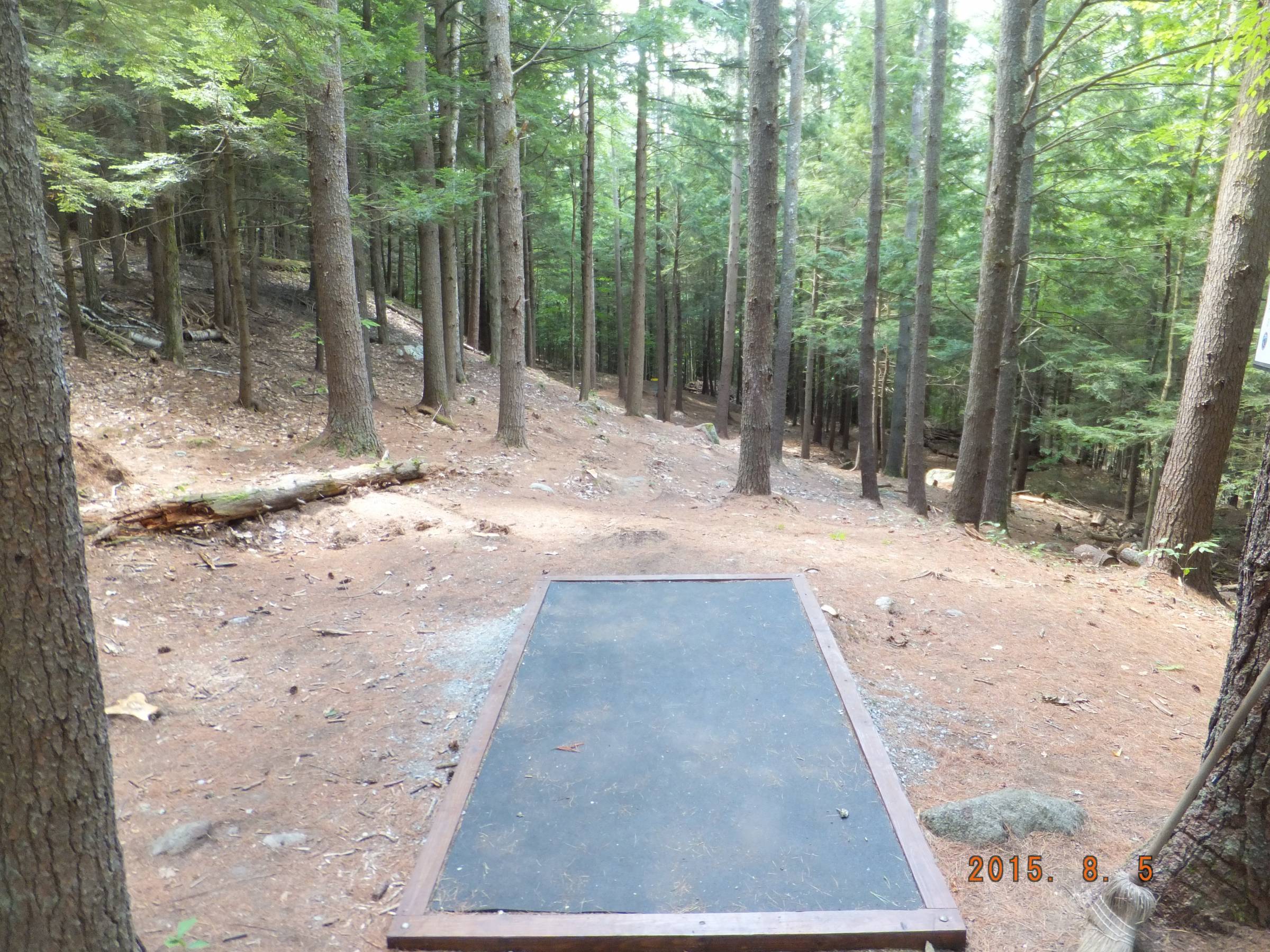 Hole 9 • Otter Brook State Park (Keene, NH) Disc Golf Courses Disc