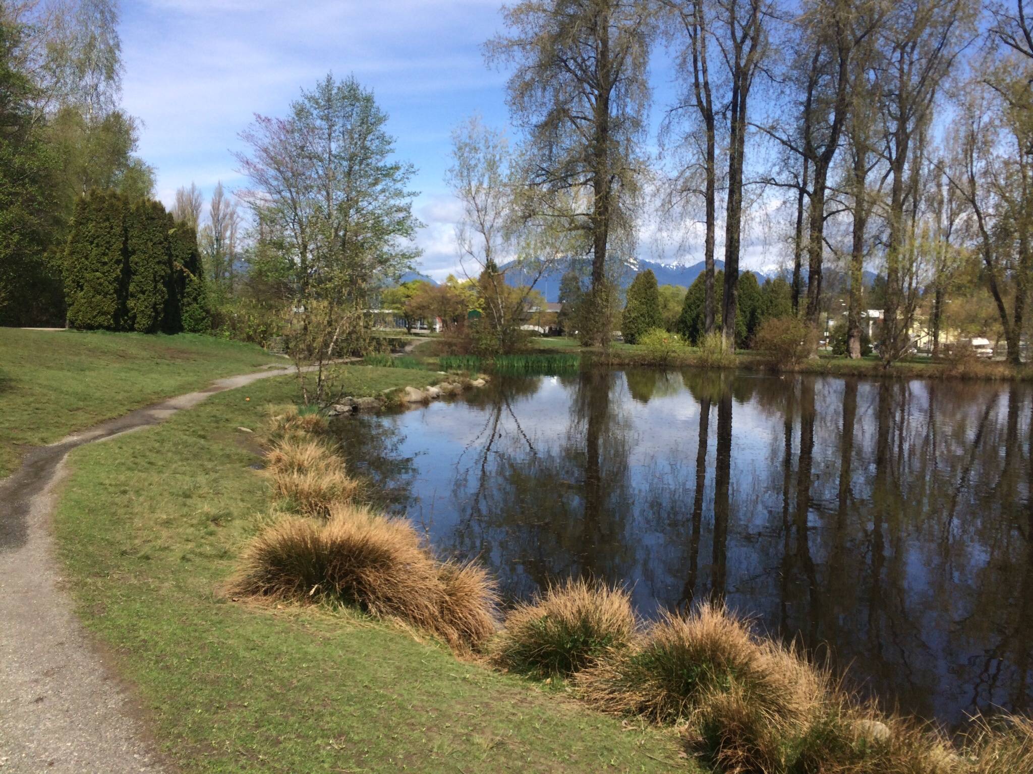 Hole 9 • Queen Elizabeth Park (Vancouver, BC) Disc Golf Courses