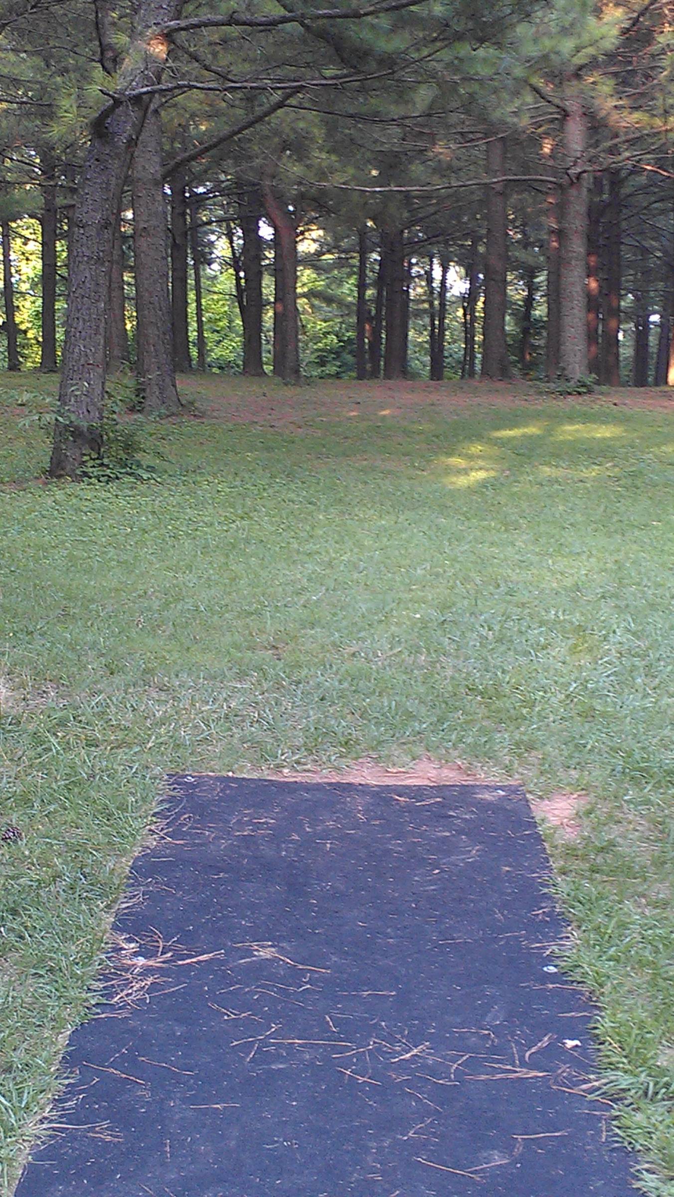 Hole 4 • Jacobson Park (Lexington, KY) Disc Golf Courses Disc Golf