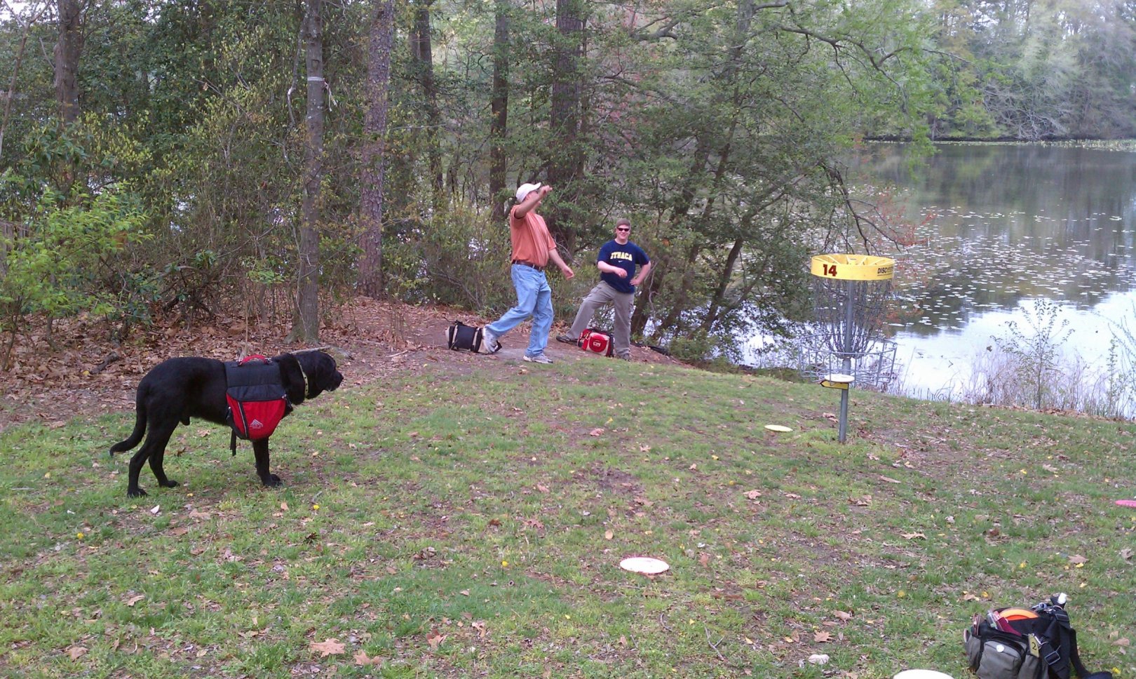 Hole 14 • Schumaker Pond (Salisbury, MD) Disc Golf Courses Disc