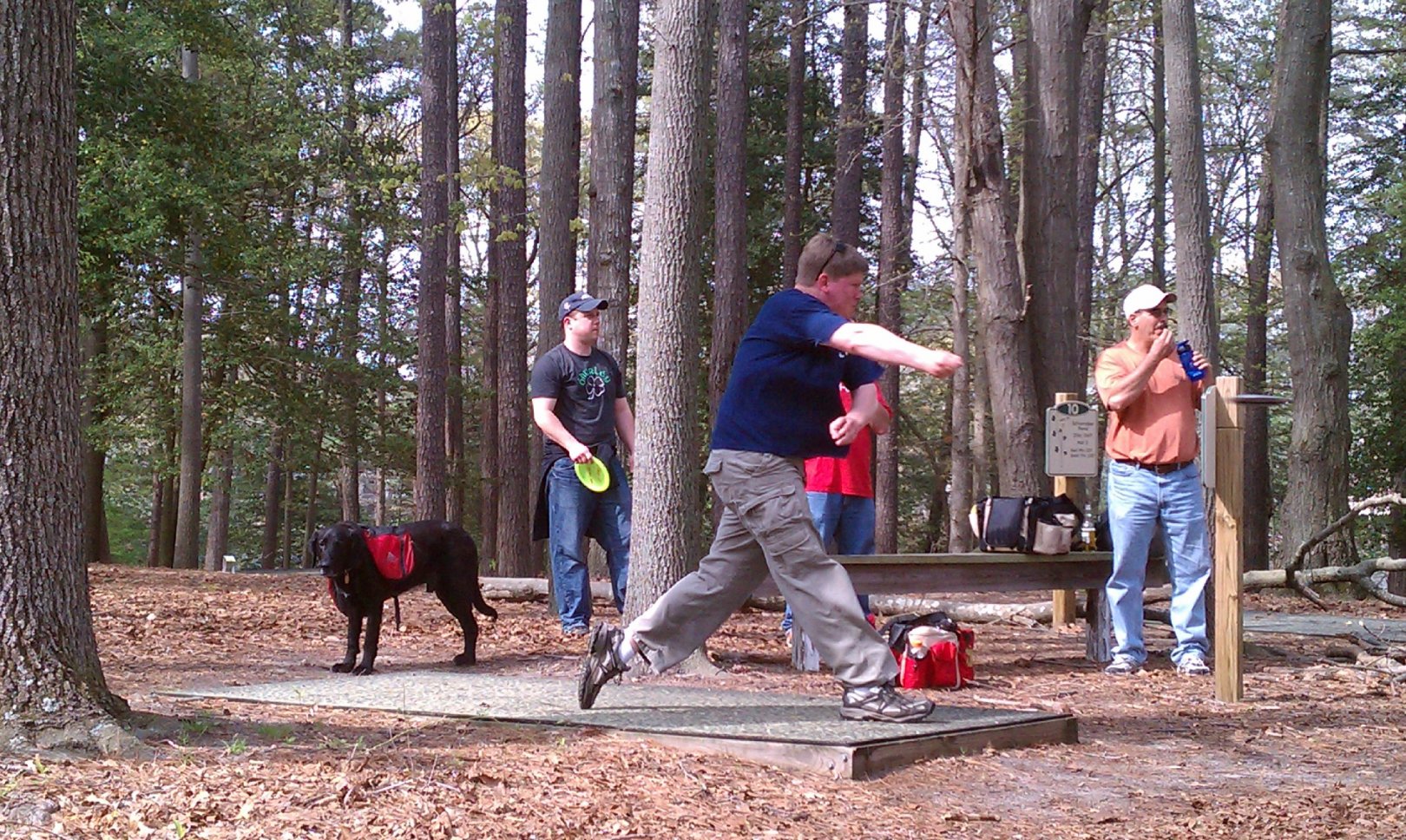 Hole 12 • Schumaker Pond (Salisbury, MD) Disc Golf Courses Disc