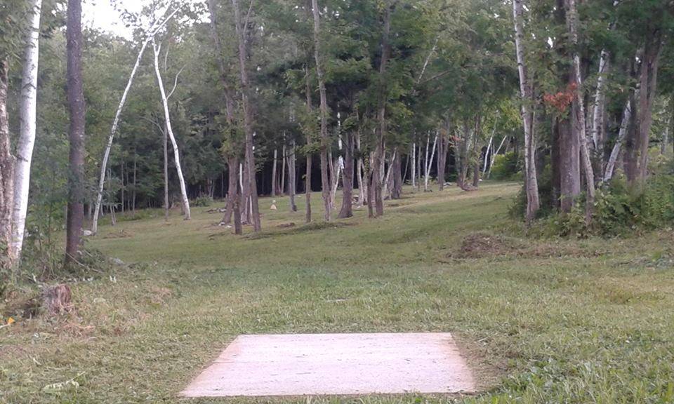 Hole 8 • Stevens Mountain View (Turner, ME) Disc Golf Courses Disc