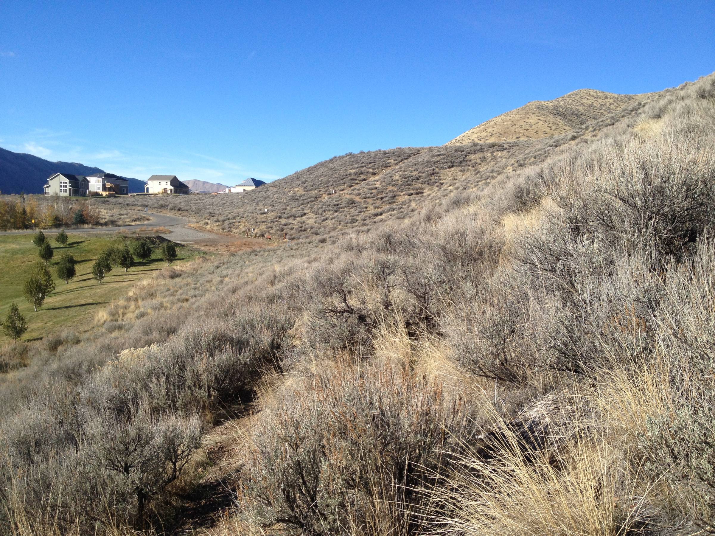 Hole 17 • Keefer Park (Hailey, ID) Disc Golf Courses Disc Golf Scene