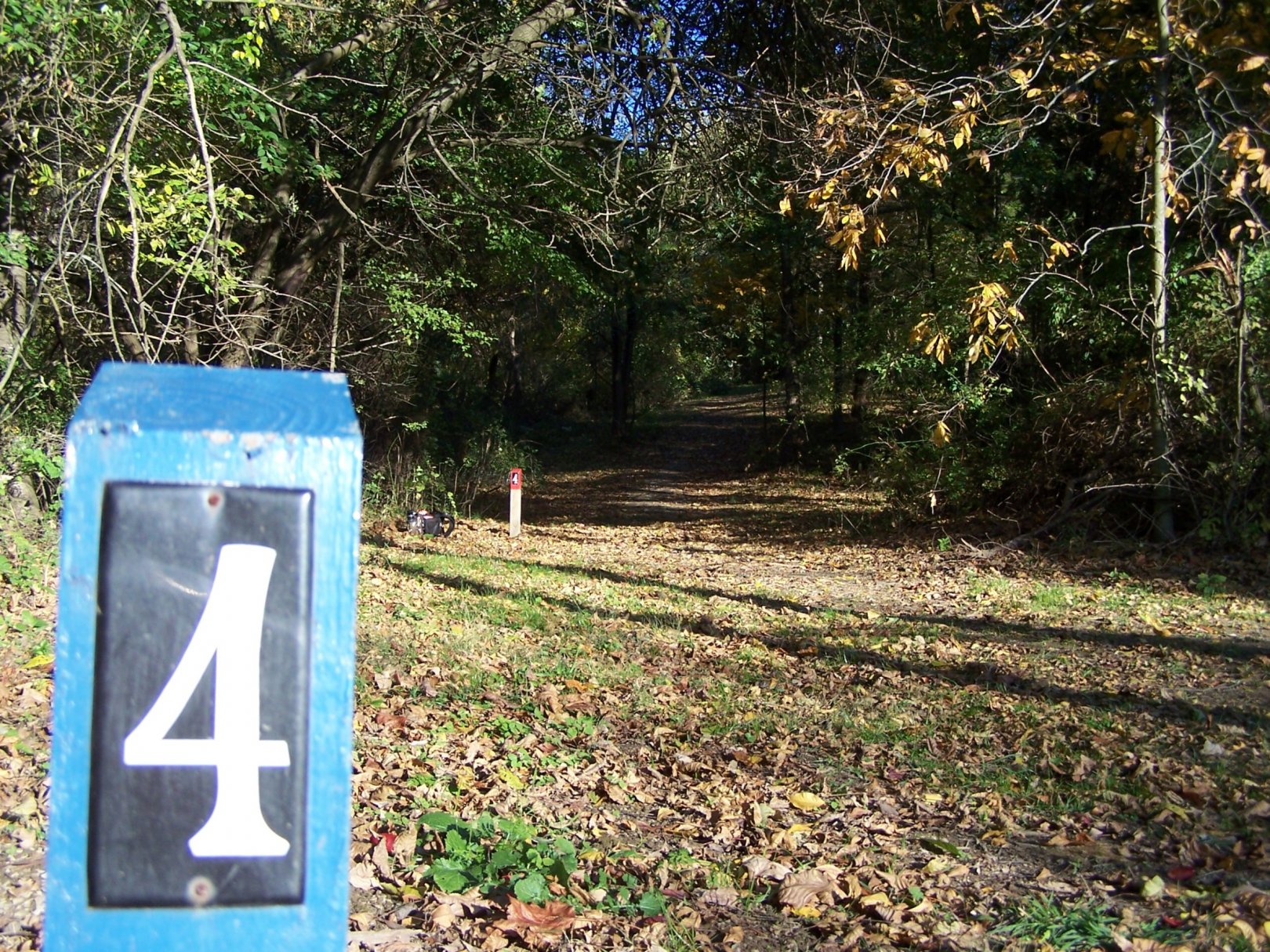 Hole 4 • Woodsboro Regional Park (Woodsboro, MD) Disc Golf Courses