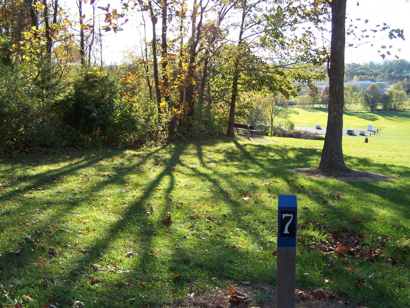 Hole 7 • Woodsboro Regional Park (Woodsboro, MD) Disc Golf Courses