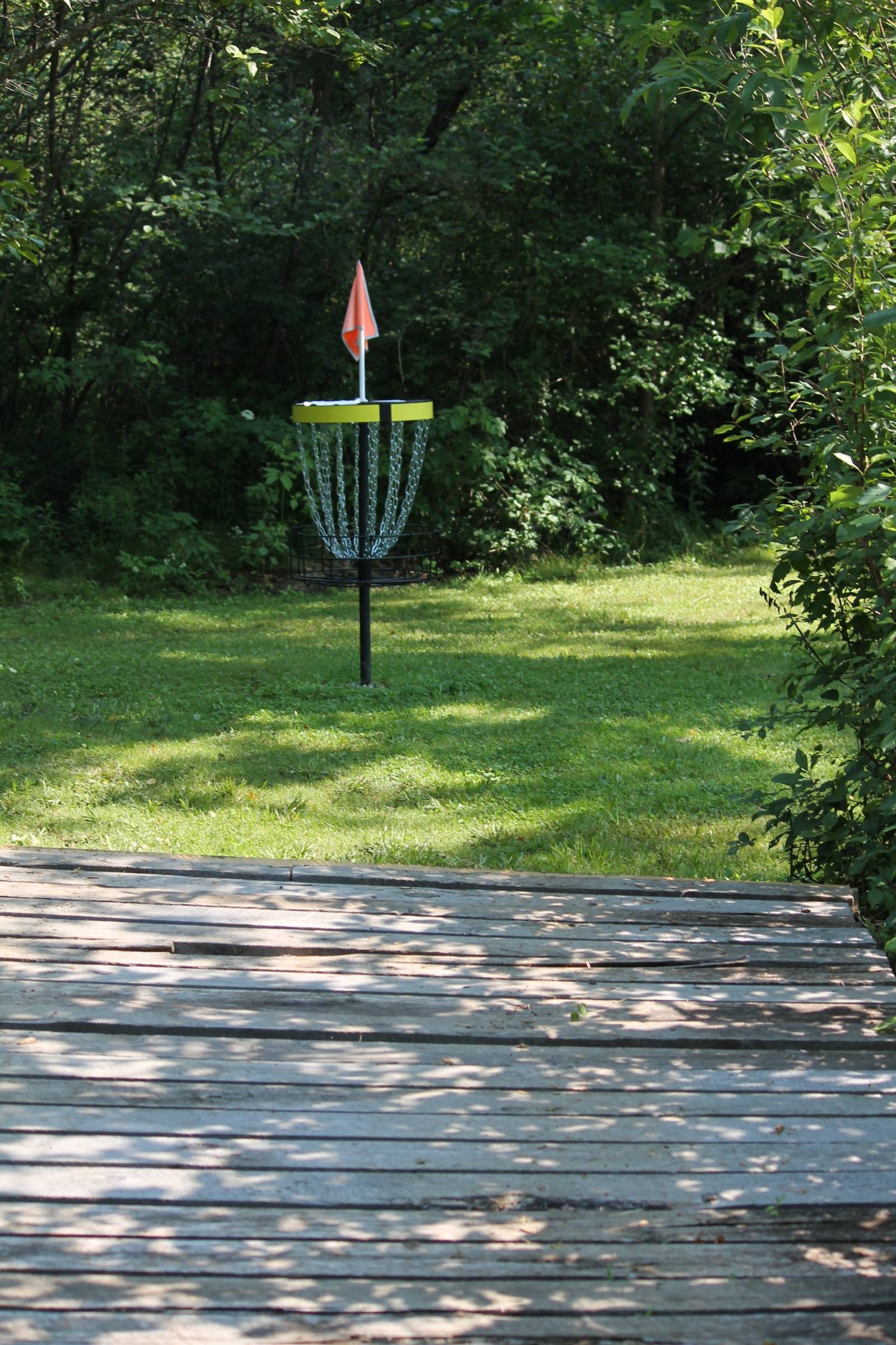 Hole 4 • Halstead Hill (Owego, NY) Disc Golf Courses Disc Golf Scene