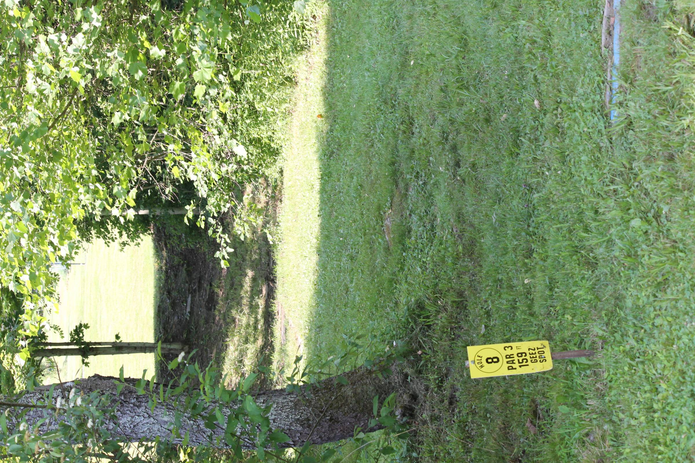 Hole 8 • Halstead Hill (Owego, NY) Disc Golf Courses Disc Golf Scene