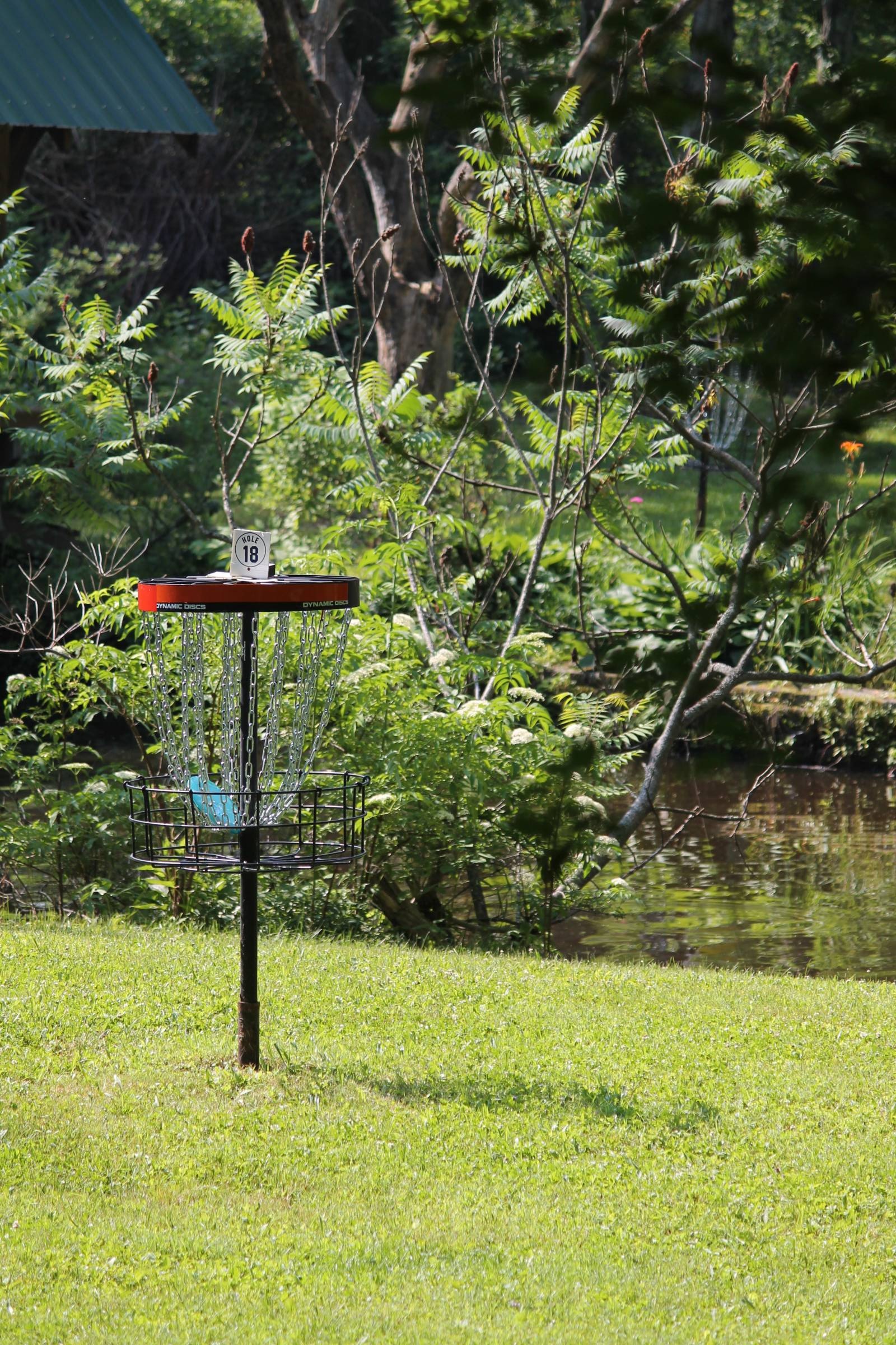 Hole 18 • Halstead Hill (Owego, NY) Disc Golf Courses Disc Golf Scene
