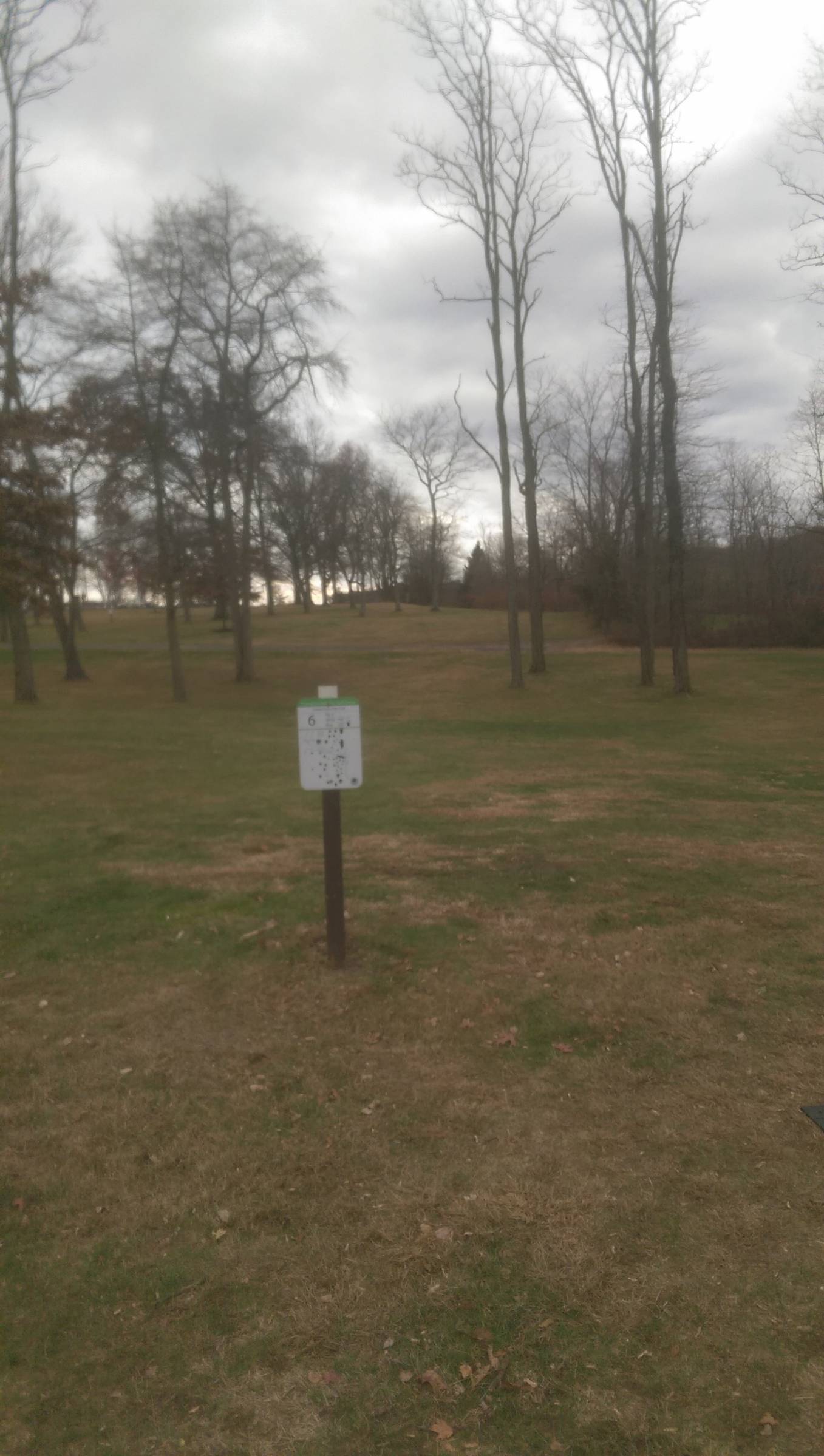 Hole 6 • Thompson Park (Jamesburg, NJ) Disc Golf Courses Disc Golf