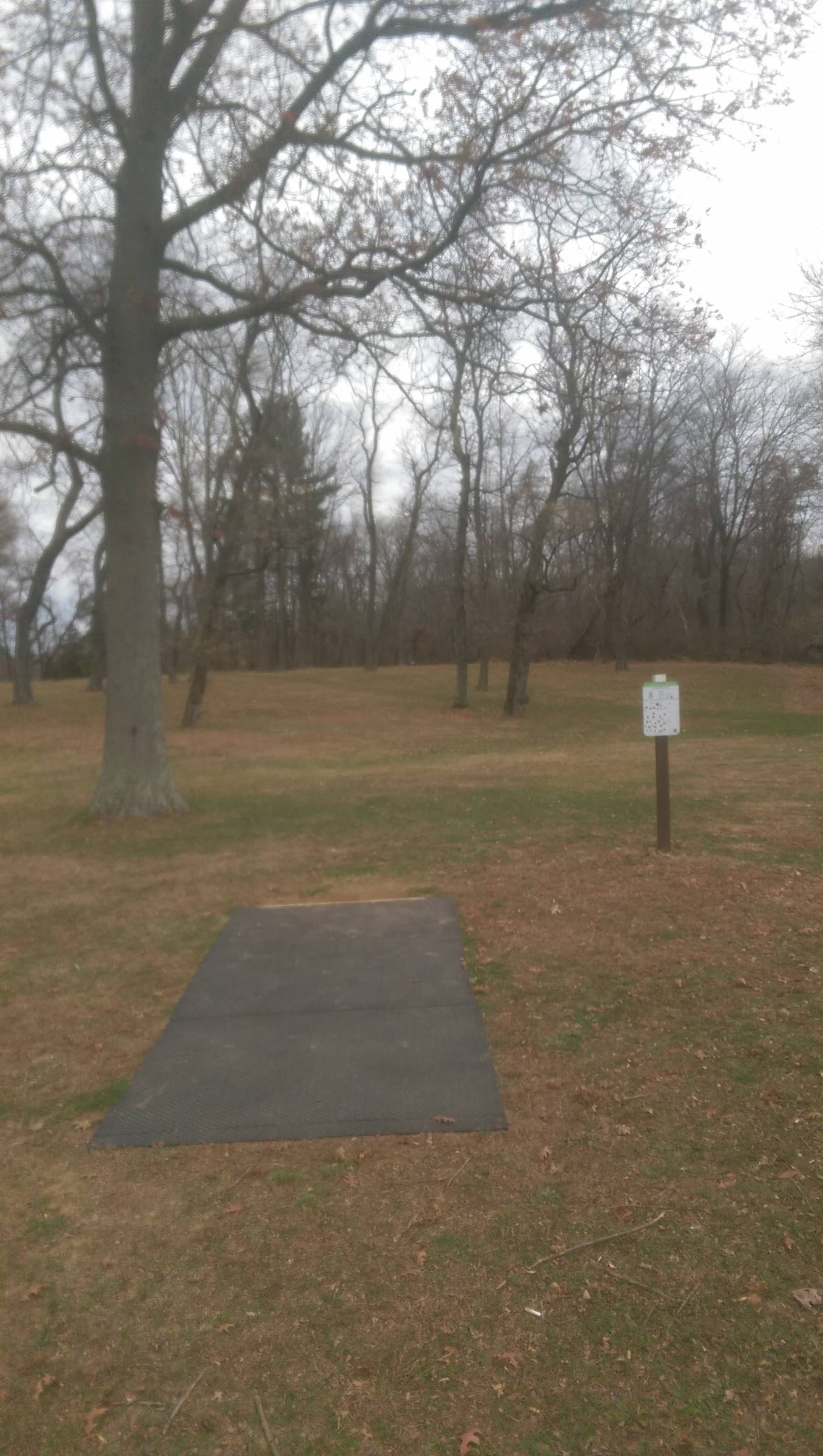 Hole 8 • Thompson Park (Jamesburg, NJ) Disc Golf Courses Disc Golf