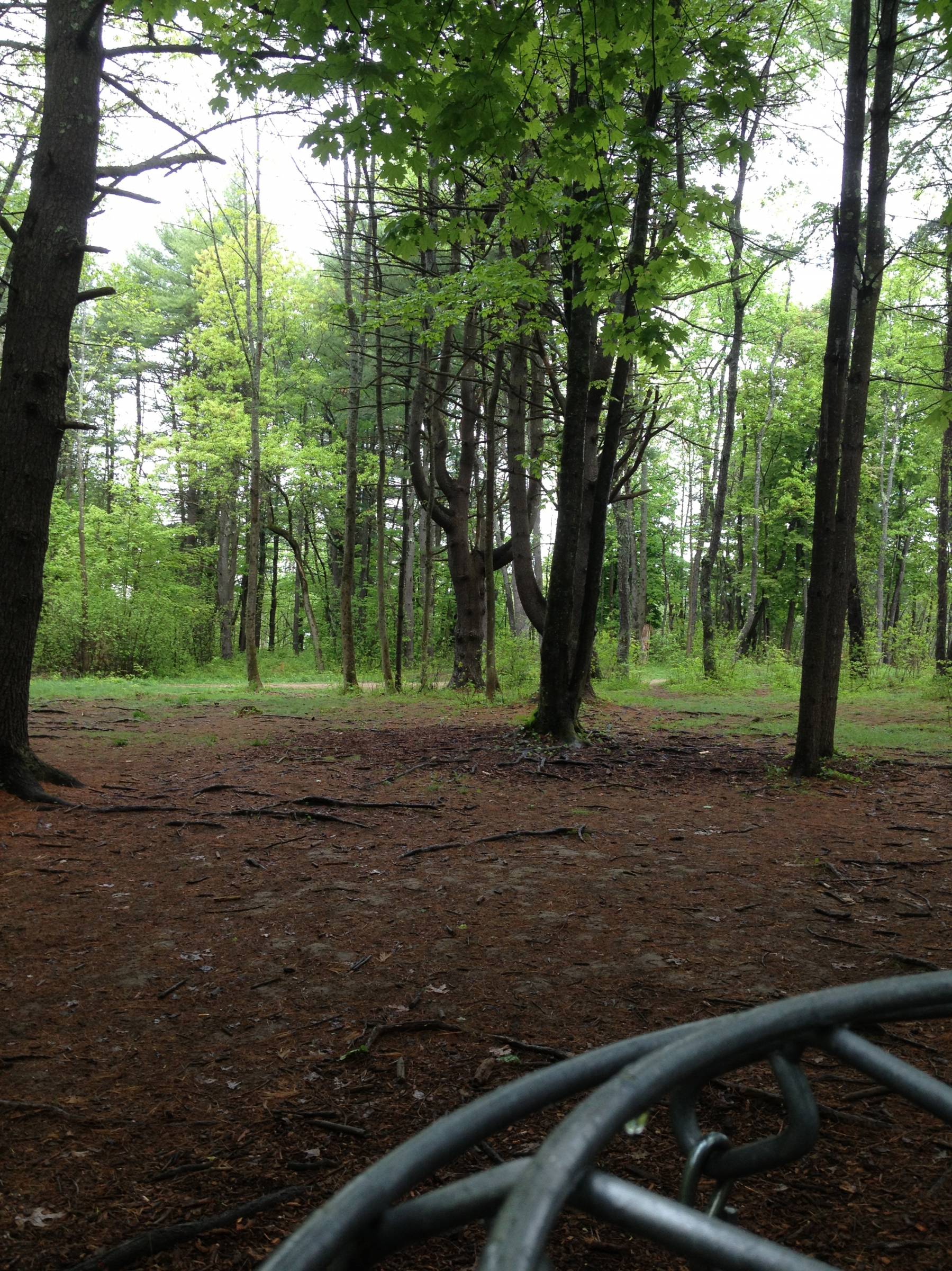 Hole 6 • Bellamy Park (Dover, NH) Disc Golf Courses Disc Golf Scene