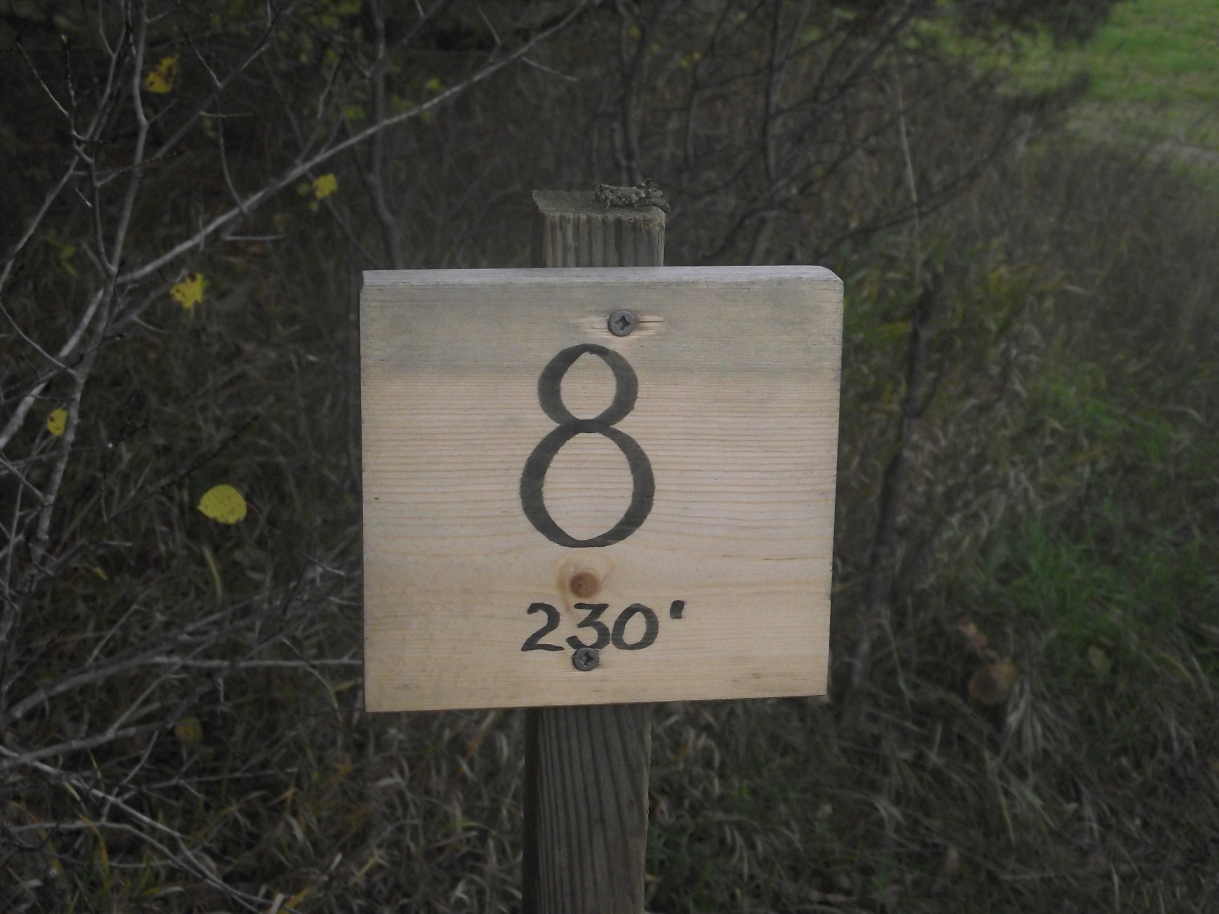 Hole 8 • East Jordan Community Park (East Jordan, MI) Disc Golf