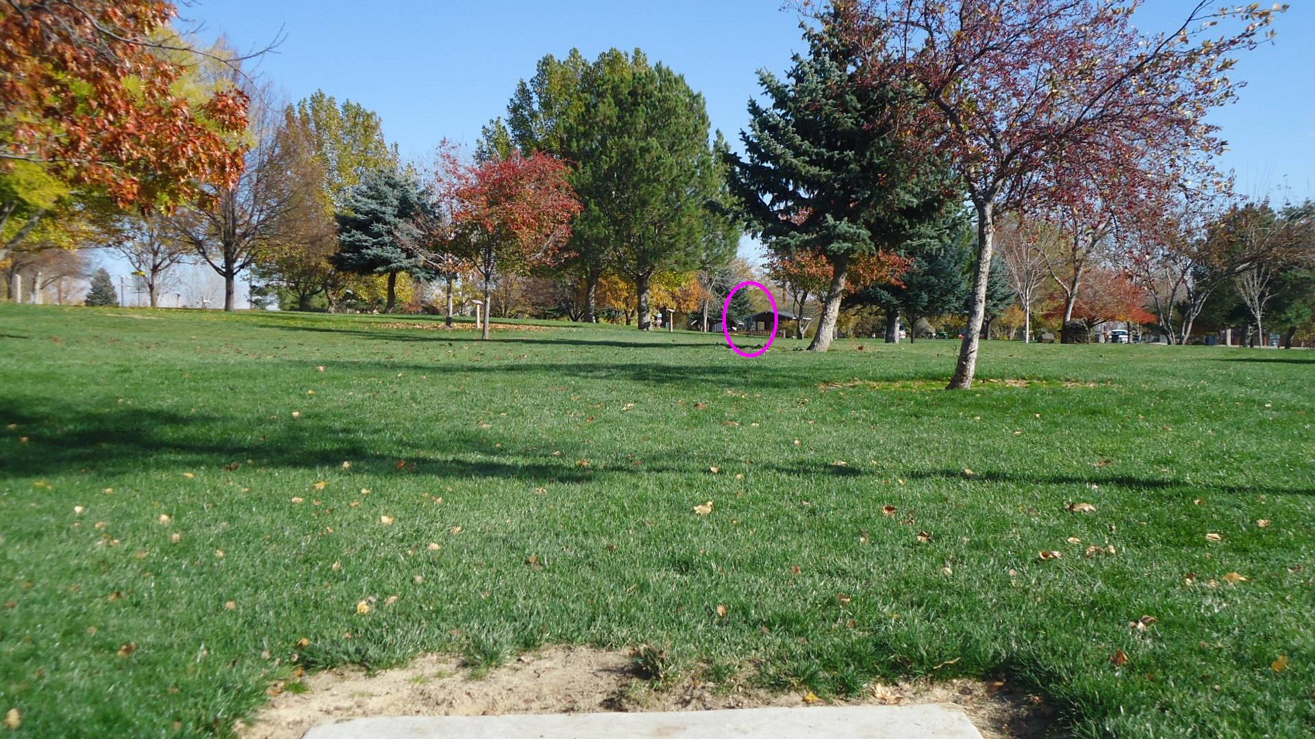 Hole 11 • Kuna Park (Kuna, ID) Disc Golf Courses Disc Golf Scene