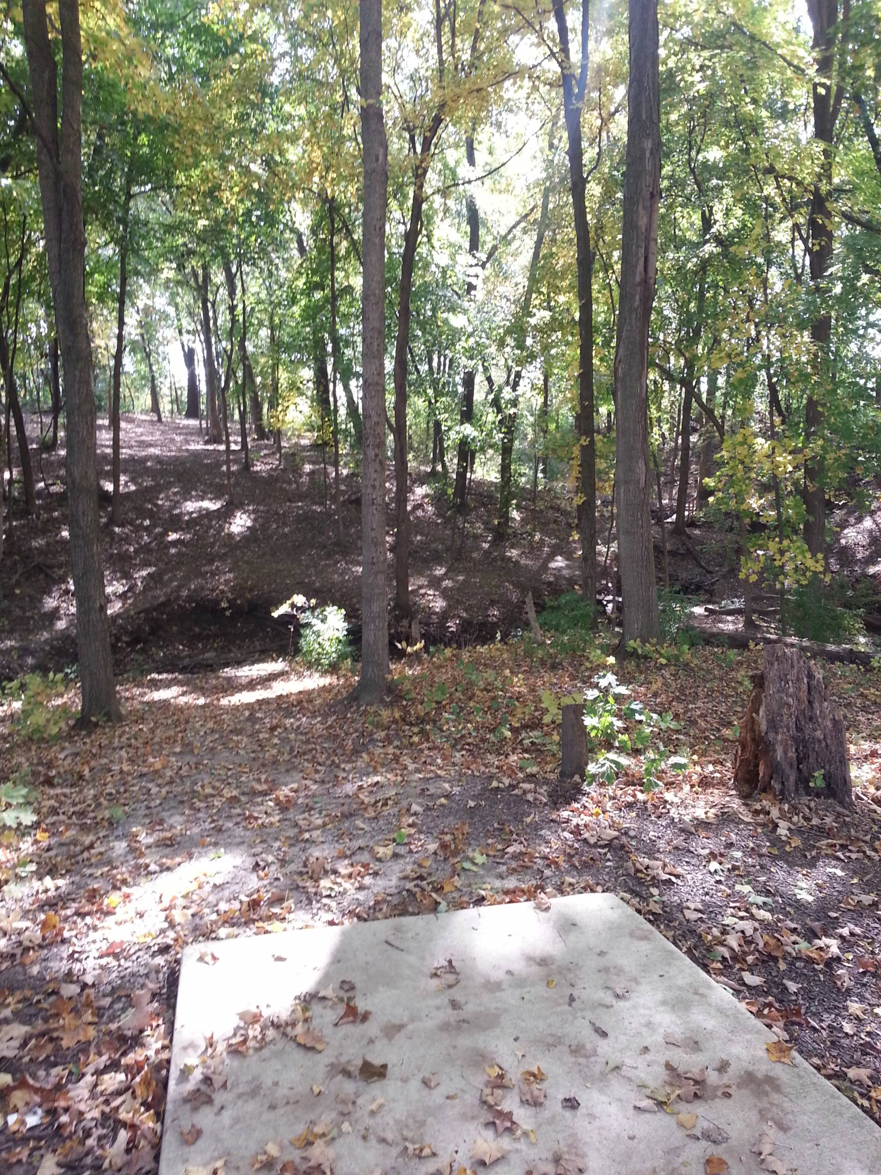 Hole 1 • Westwood Park (Morton, IL) Disc Golf Courses Disc Golf Scene