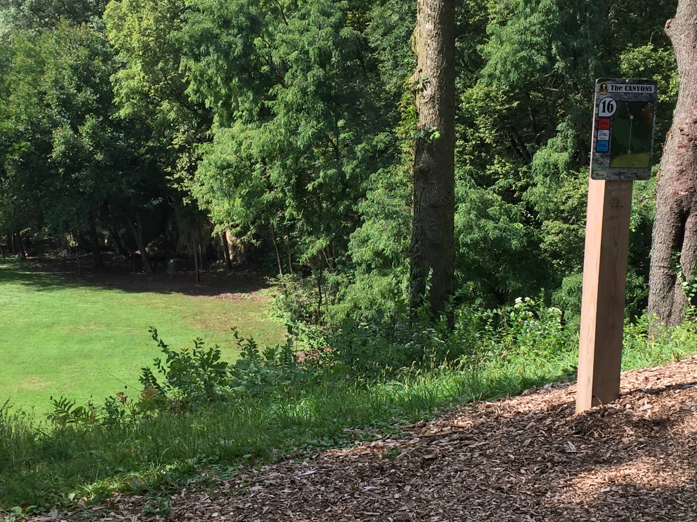 Hole 16 • The Canyons (Lockport, IL) Disc Golf Courses Disc Golf Scene