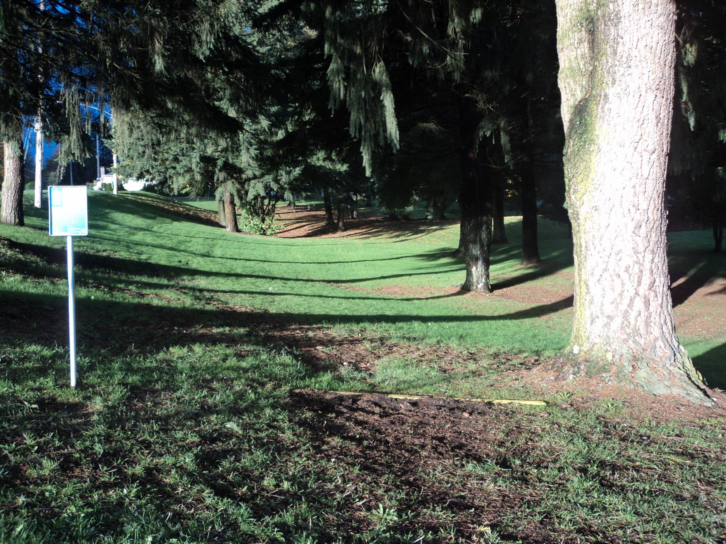 Hole 7 • Centennial Park (Mission, BC) Disc Golf Courses Disc Golf