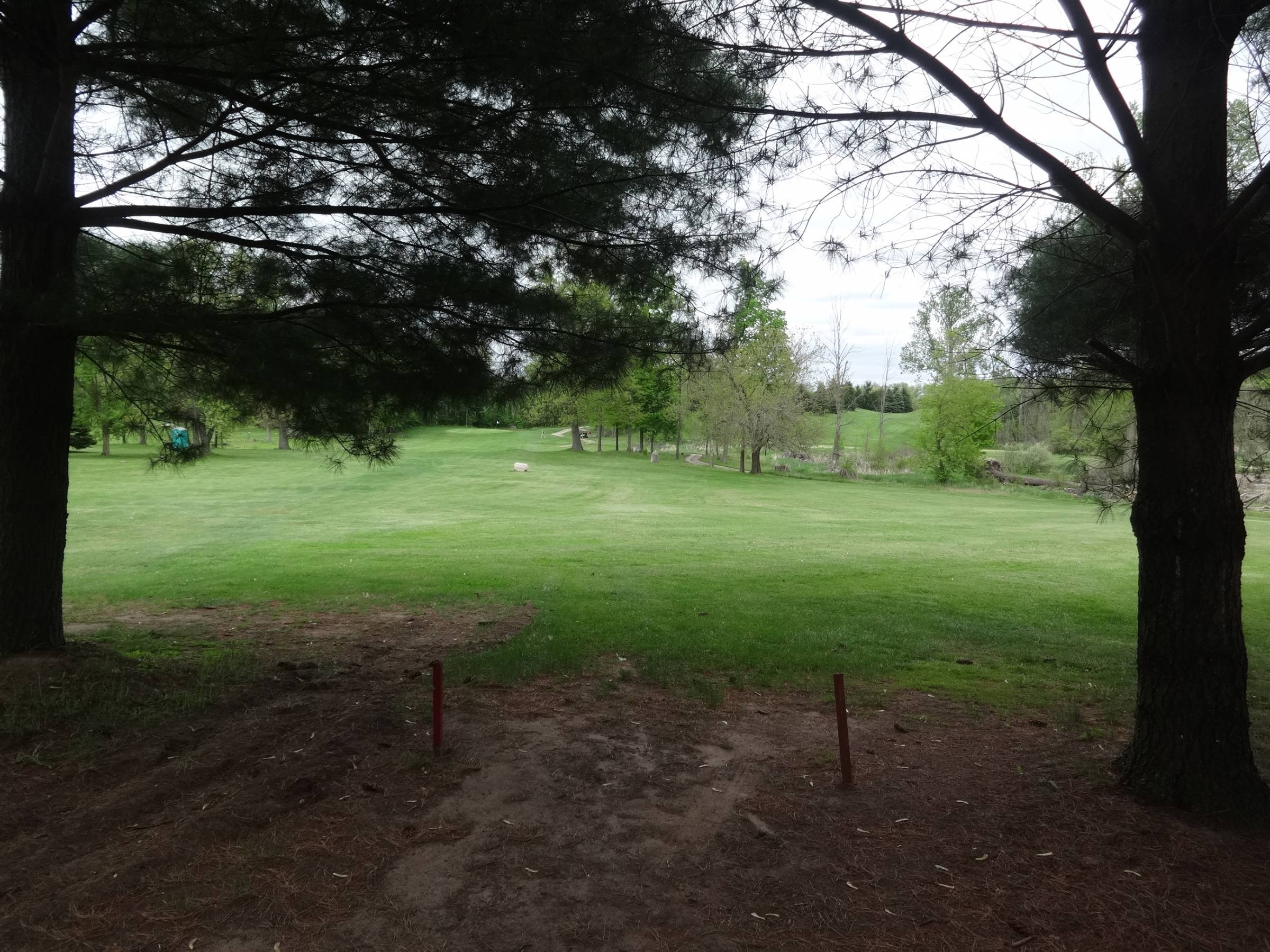 Hole 7 • North course / Pine Hills DGC (Laingsburg, MI) Disc Golf