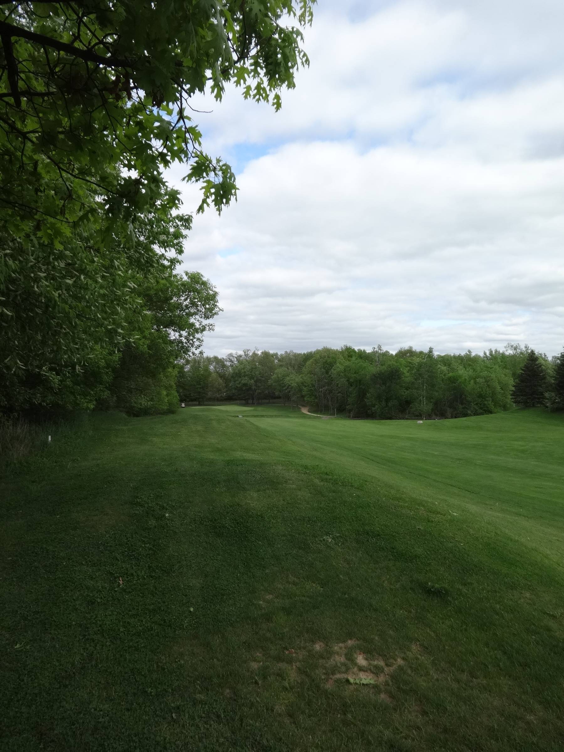 Hole 10 • North course / Pine Hills DGC (Laingsburg, MI) Disc Golf