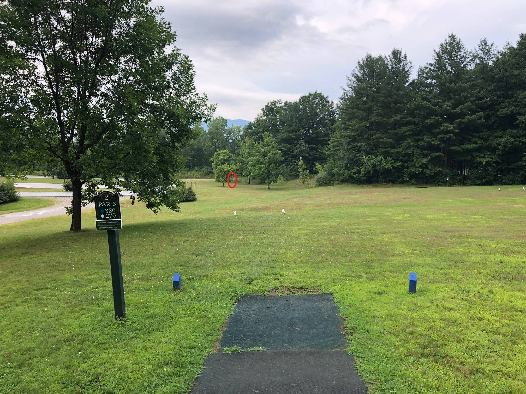 Hole 2 • Hunter Park (Manchester, VT) Disc Golf Courses Disc Golf Scene