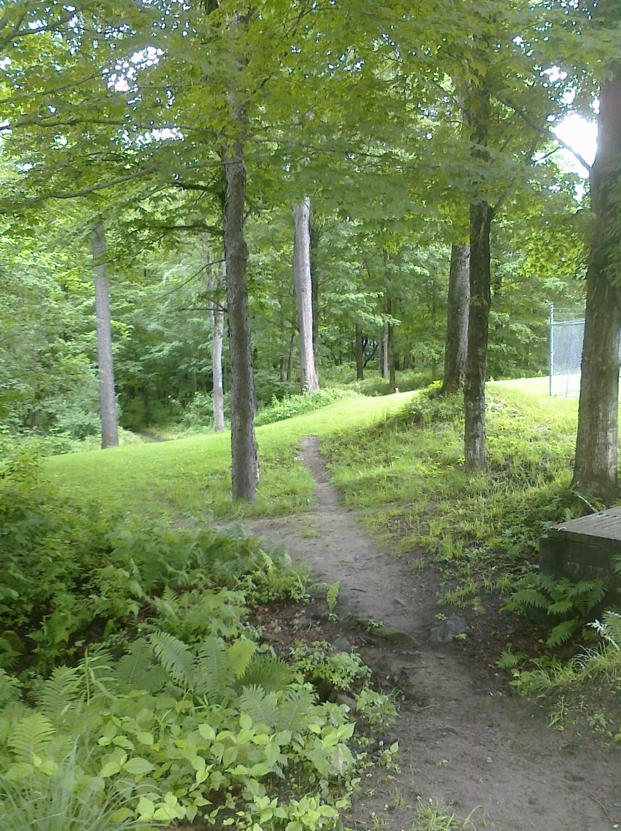 Hole 1 • White River (Randolph, VT) Disc Golf Courses Disc Golf Scene
