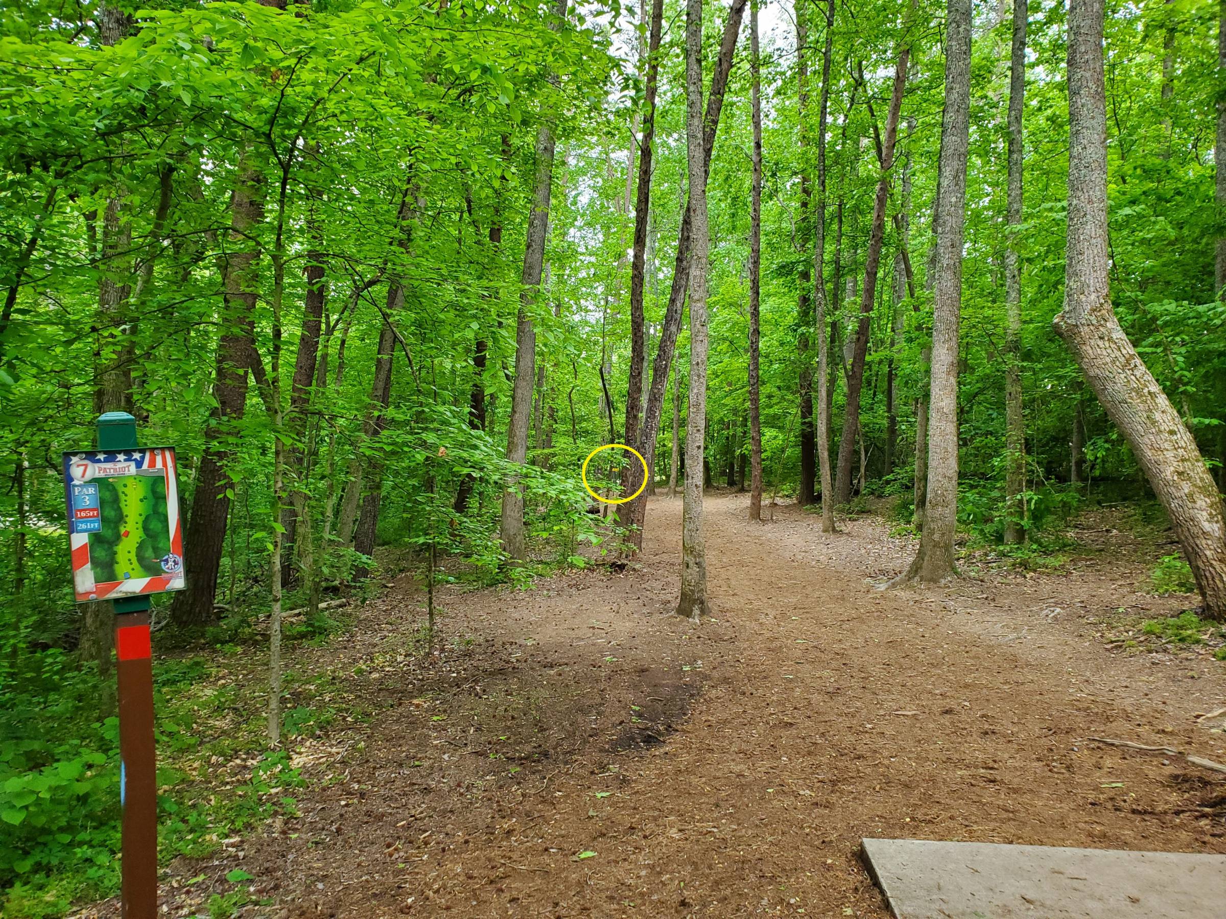 Hole 7 • Patriot DGC (Kernersville, NC) Disc Golf Courses Disc Golf Scene