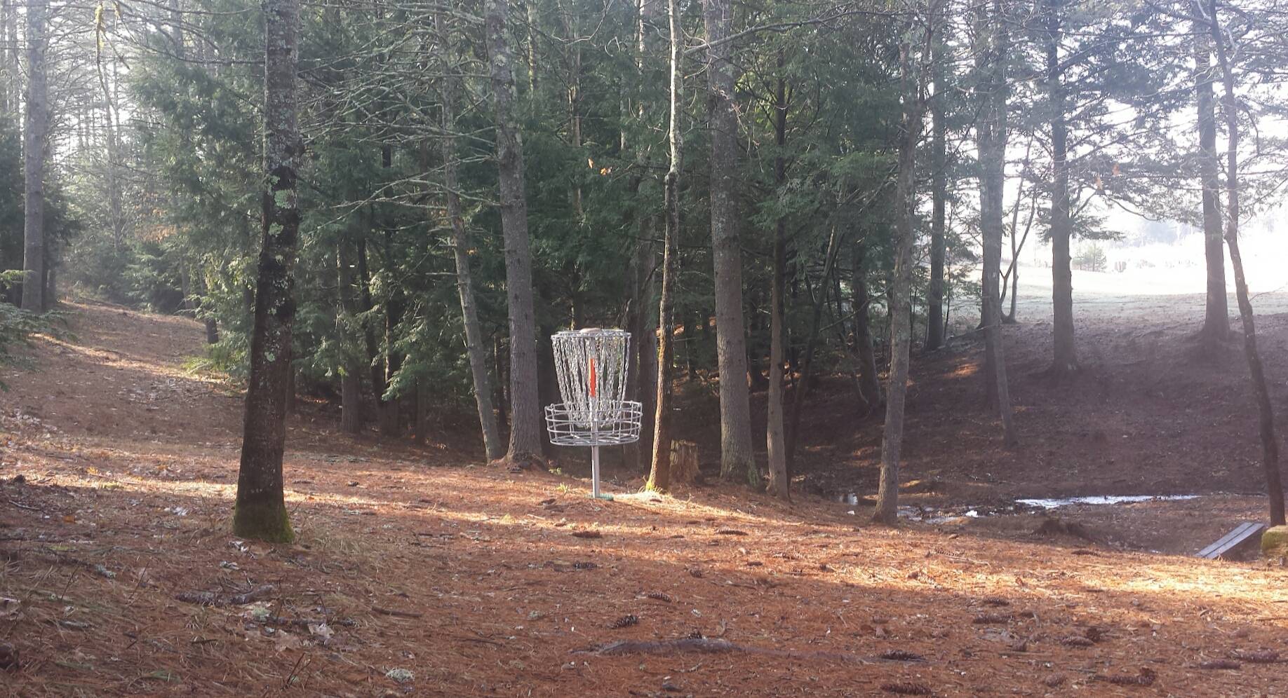 Hole 1 • Salmon Falls DGC (Rochester, NH) Disc Golf Courses Disc