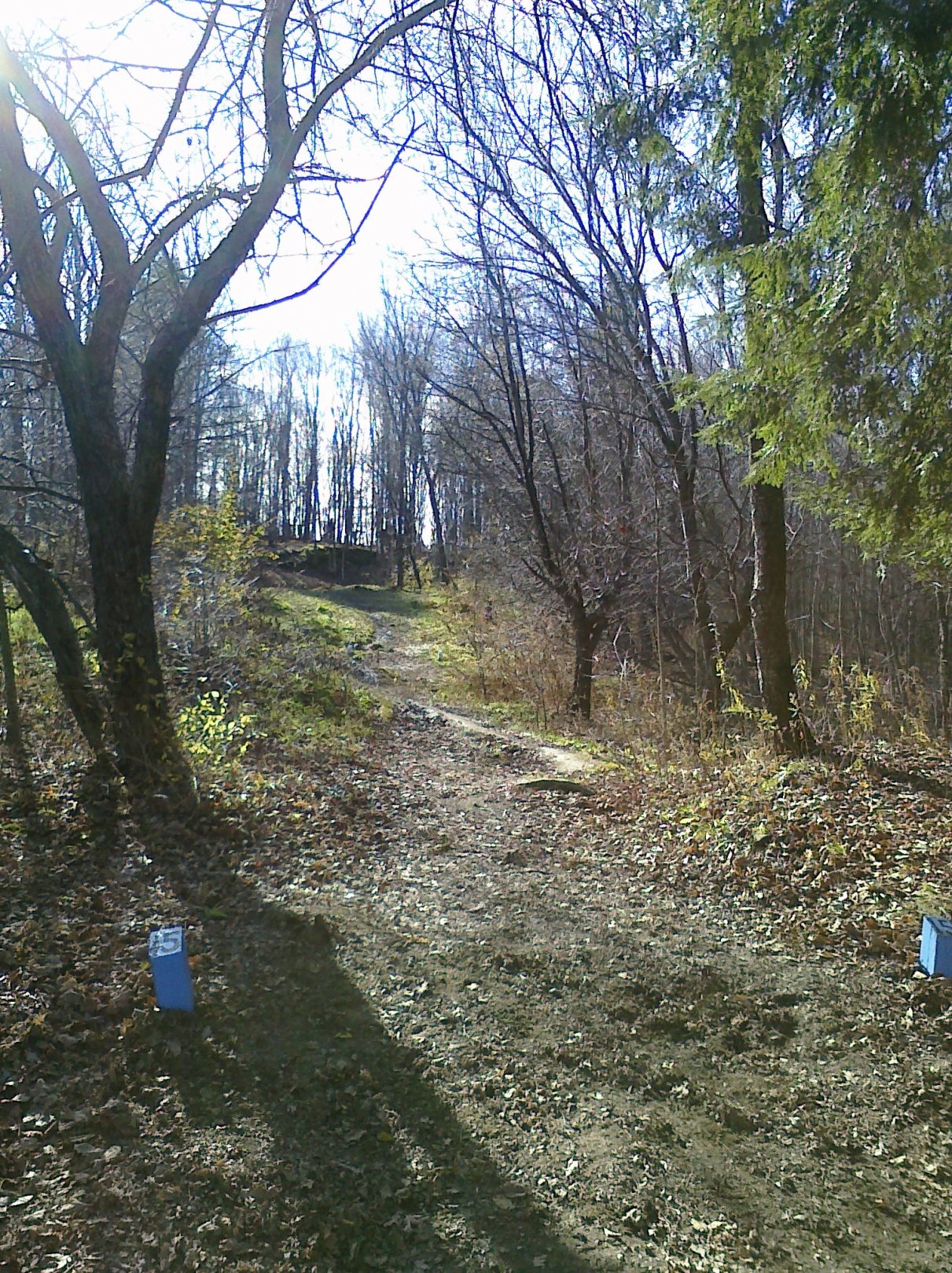 Hole 15 • Center Chains (Waterbury Center, VT) Disc Golf Courses