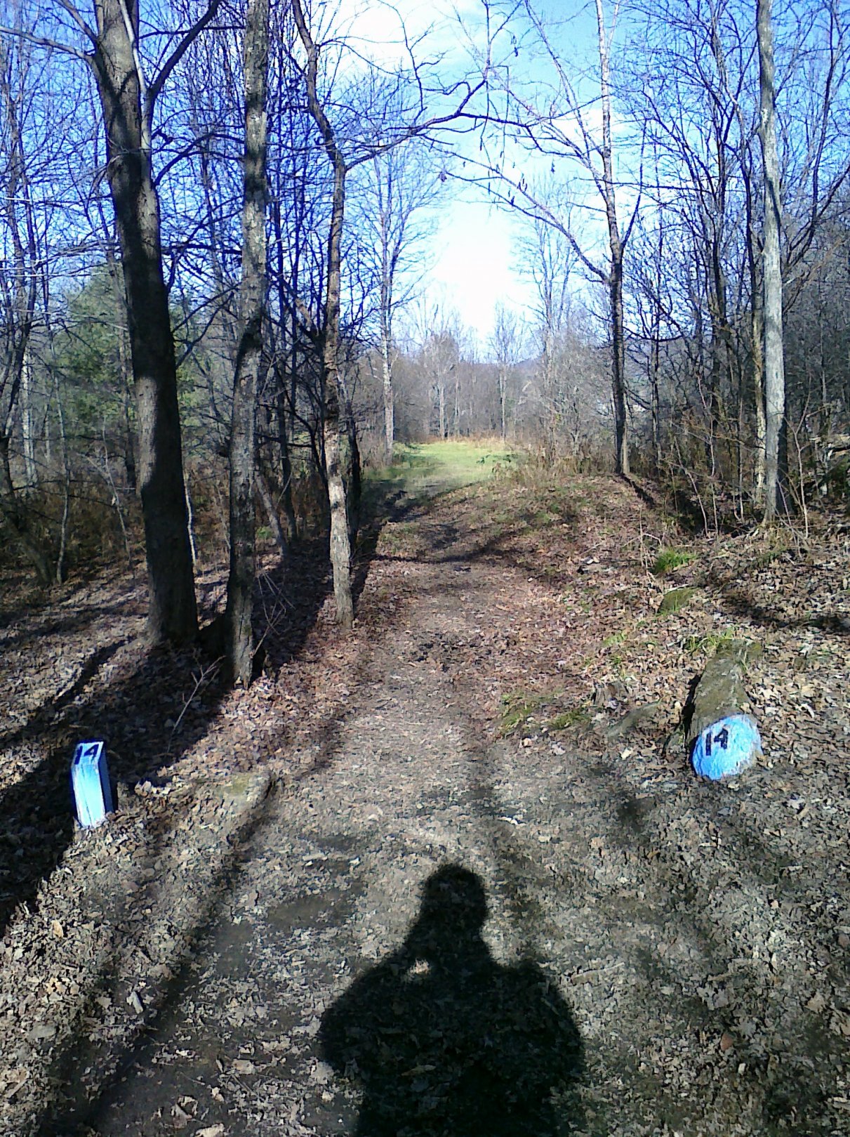 Hole 14 • Center Chains (Waterbury Center, VT) Disc Golf Courses