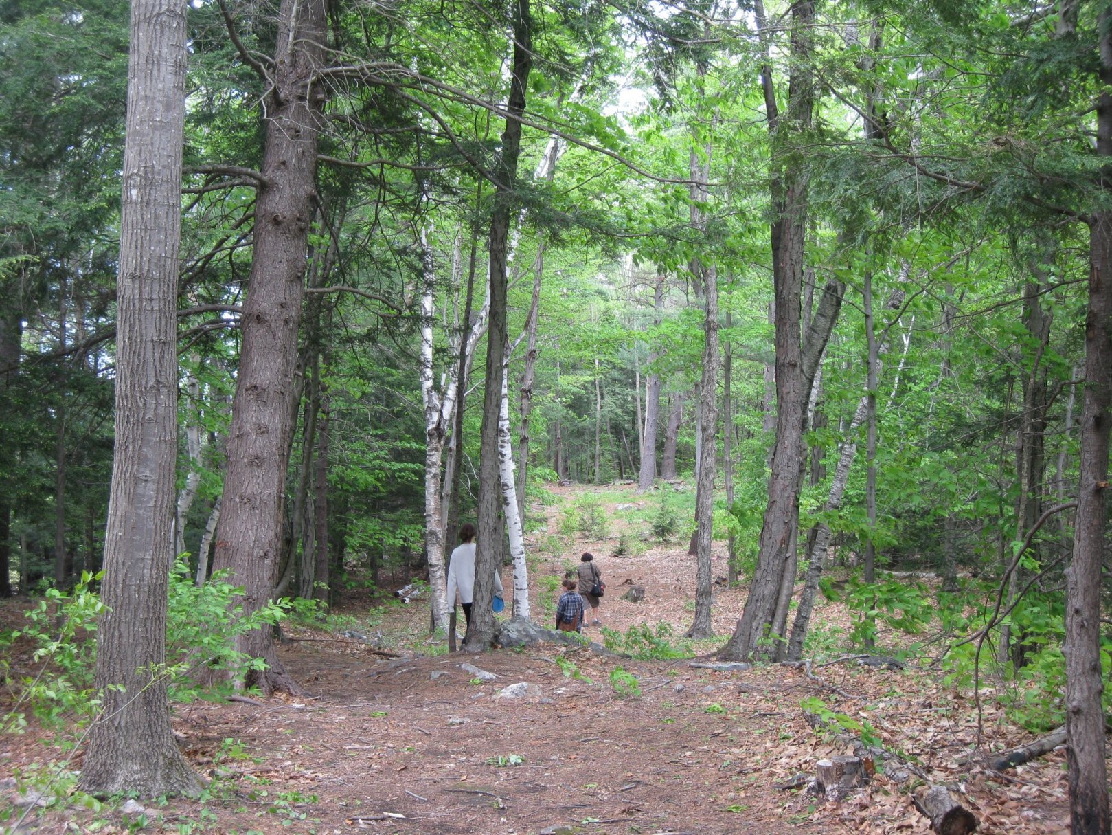 Hole 10 • The Highlands of Conway (Conway, MA) Disc Golf Courses