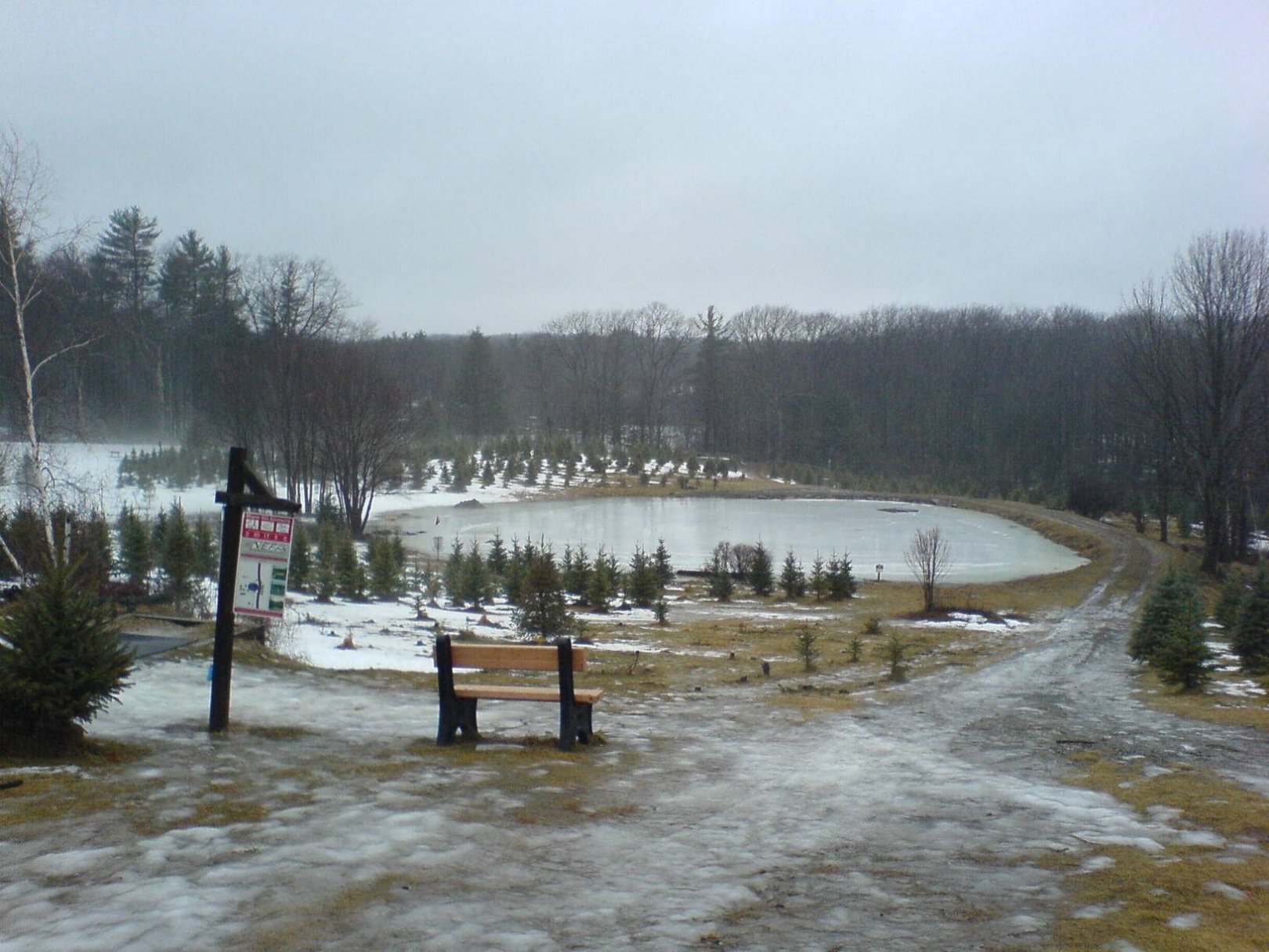 Hole 1 • Reds / Maple Hill (Leicester, MA) Disc Golf Courses Disc